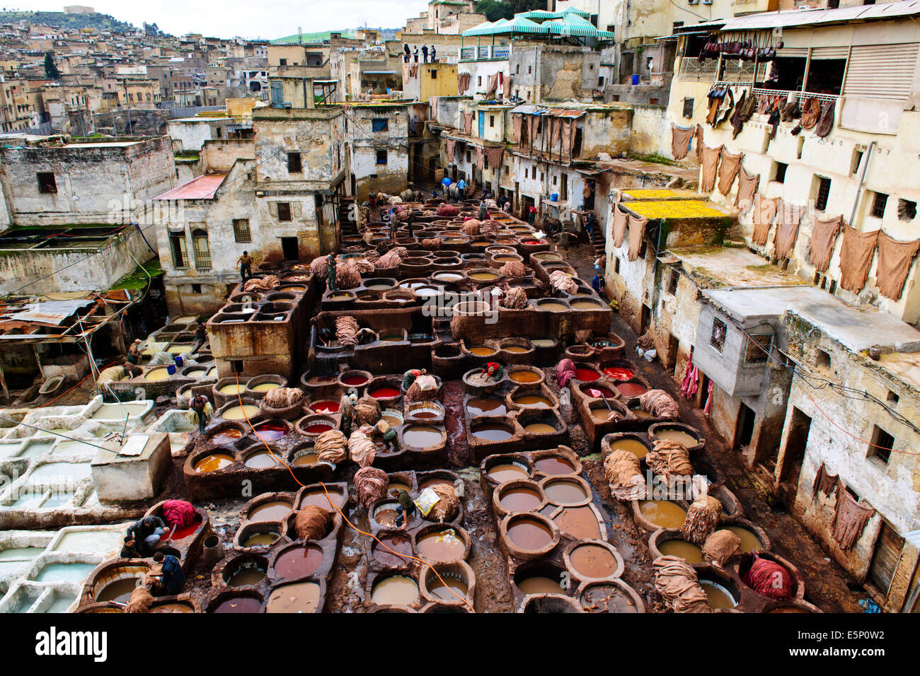 Fes, Leather District, sterben Gruben, Skins, Läden, die alle Arten von Lederwaren, Gerberei Chaouwara, Medina, Souk, Fes, Fez, Marokko Stockfoto