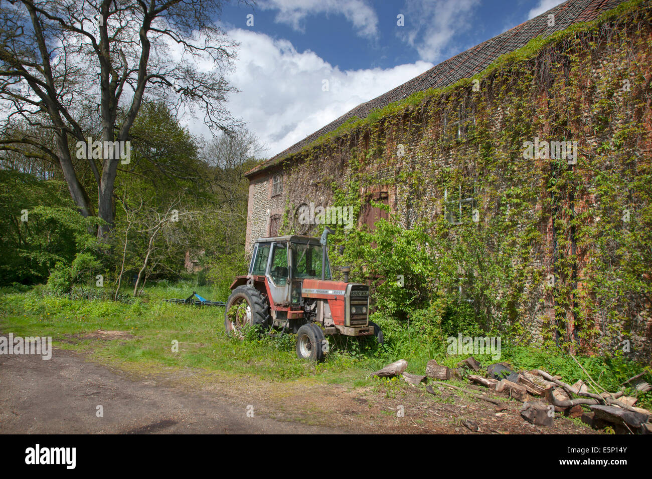 Alten Traktor Massey Ferguson 698T Traktor vor alten Bauernhof-Norfolk Stockfoto