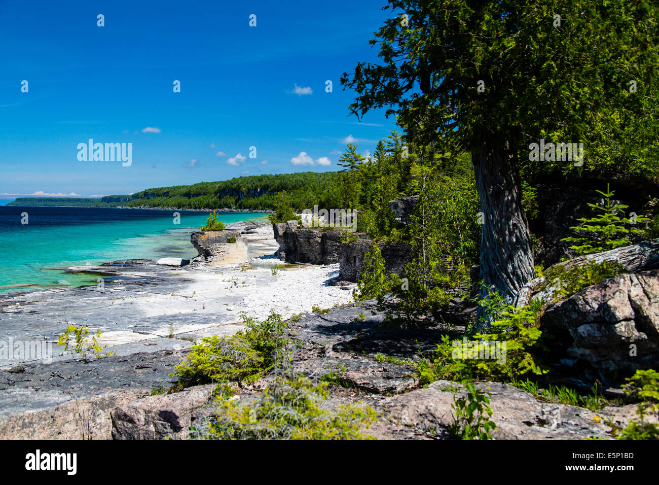Bruce Peninsula National Park Georgian Bay Tobermory Ontario Kanada. Emmet Seengebiet Stockfoto