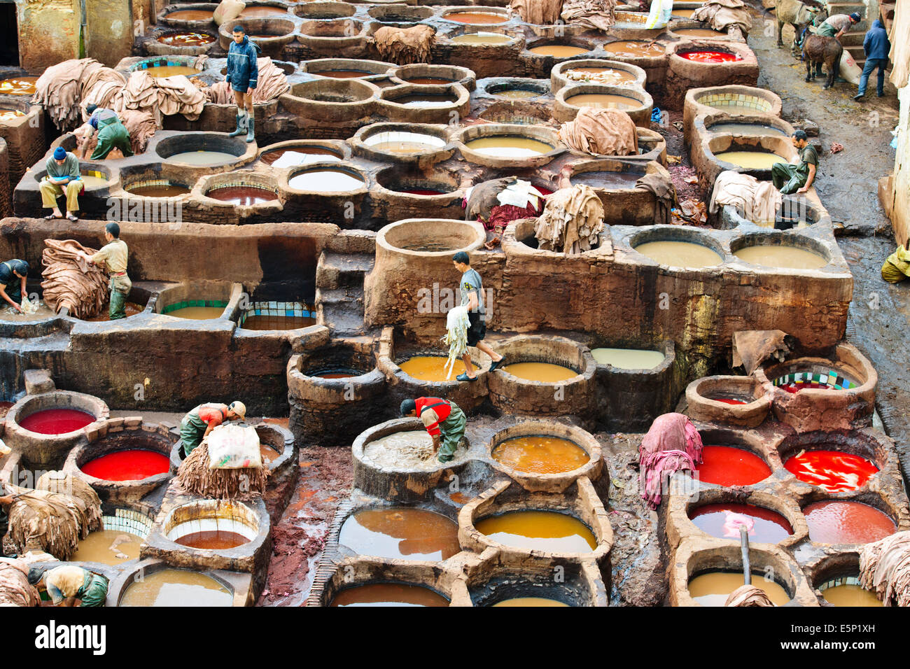 Fes, Leather District, sterben Gruben, Skins, Läden, die alle Arten von Lederwaren, Gerberei Chaouwara, Medina, Souk, Fes, Fez, Marokko Stockfoto