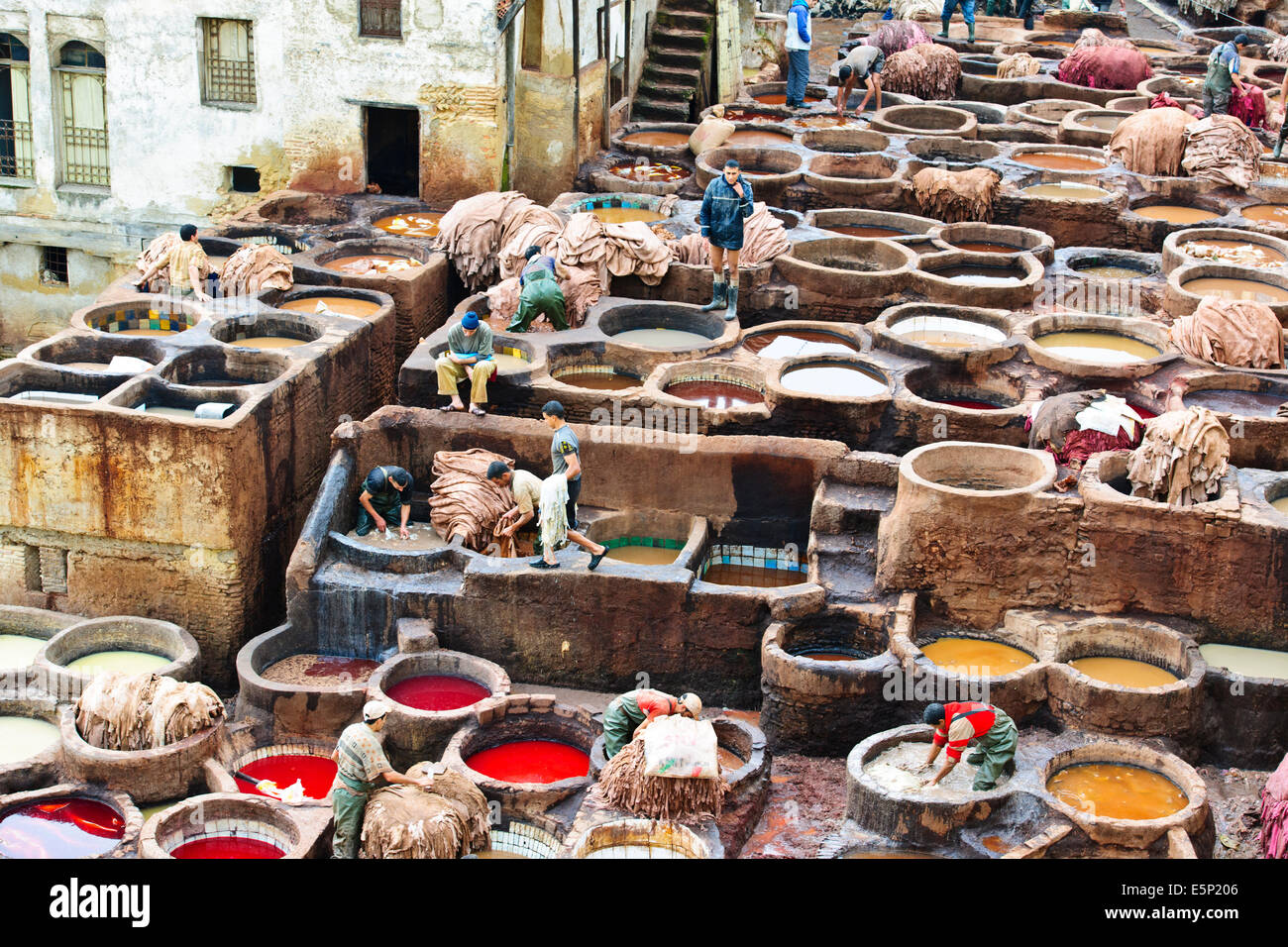 Fes, Leather District, sterben Gruben, Skins, Läden, die alle Arten von Lederwaren, Gerberei Chaouwara, Medina, Souk, Fes, Fez, Marokko Stockfoto