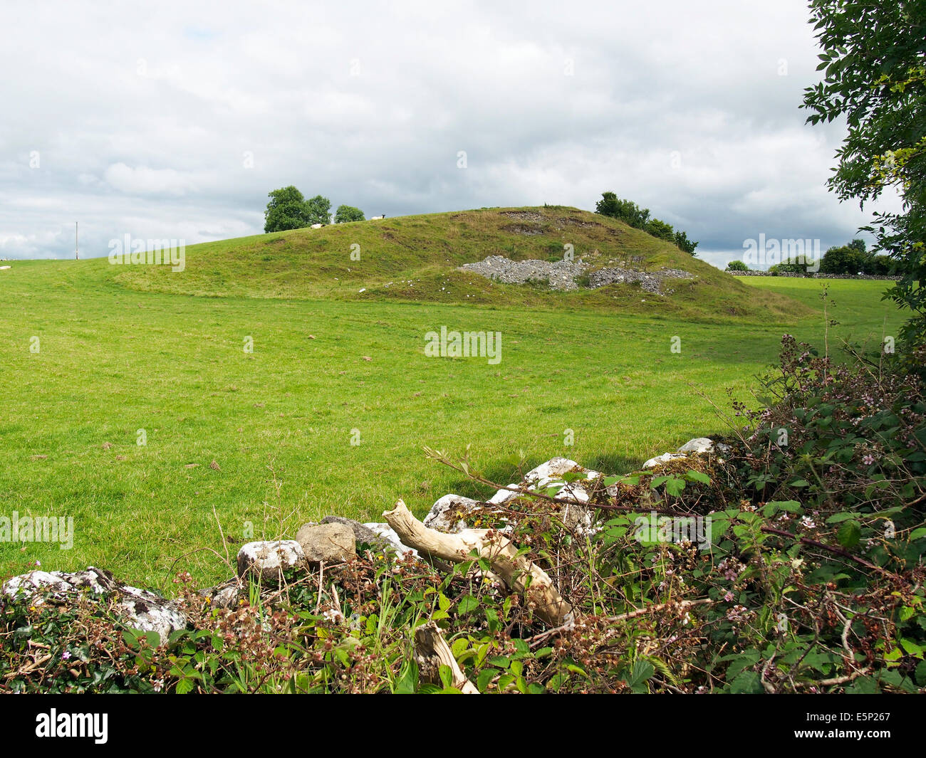 Ein Drumlin, eine längliche Hügel in der Form eines umgekehrten Eies ist eine glaziale Landform. In diesem Beispiel in der Nähe von Dunmore, Galway, Irland. Stockfoto