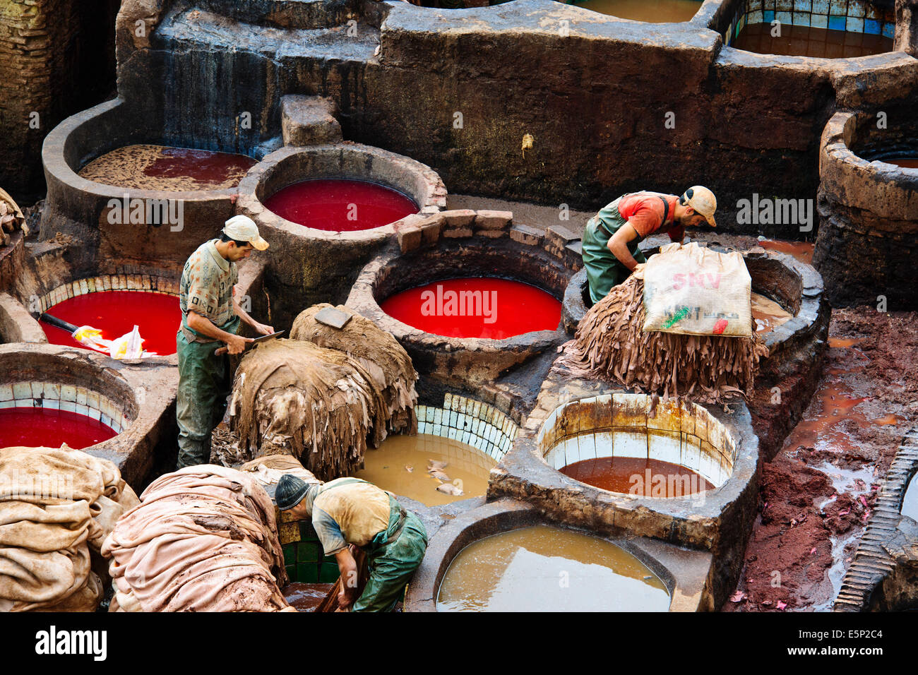 Fes, Leather District, sterben Gruben, Skins, Läden, die alle Arten von Lederwaren, Gerberei Chaouwara, Medina, Souk, Fes, Fez, Marokko Stockfoto