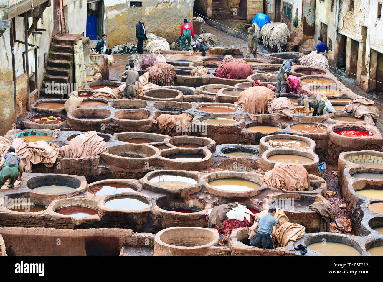 Fes, Leather District, sterben Gruben, Skins, Läden, die alle Arten von Lederwaren, Gerberei Chaouwara, Medina, Souk, Fes, Fez, Marokko Stockfoto