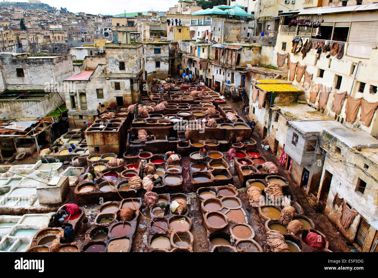 Fes, Leather District, sterben Gruben, Skins, Läden, die alle Arten von Lederwaren, Gerberei Chaouwara, Medina, Souk, Fes, Fez, Marokko Stockfoto