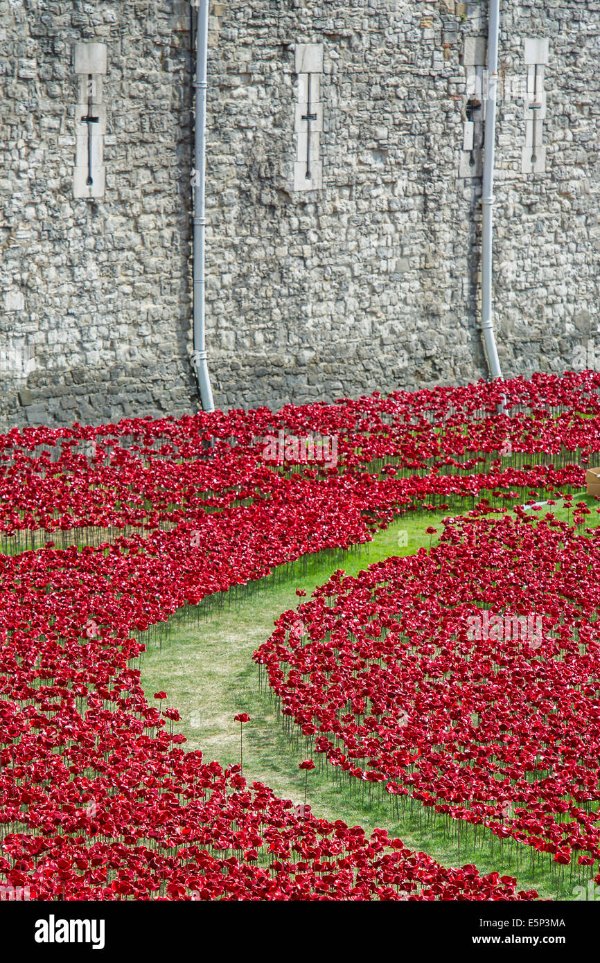 London, UK. 4. August 2014. Blut Mehrfrequenzdarstellung Länder und Meere von Red von Paul Cummins. Last-Minute Vorbereitungen vor der offiziellen Eröffnung morgen. Keramik Mohn bilden ein Kunstwerk im Graben der Tower of London anlässlich die Hundertjahrfeier des ersten Weltkrieges. 4. August 2014. Bildnachweis: Guy Bell/Alamy Live-Nachrichten Stockfoto