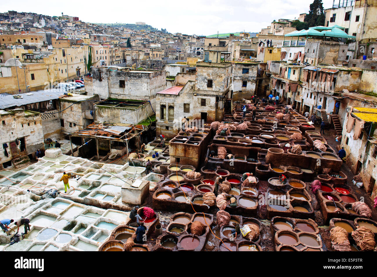 Fes, Leather District, sterben Gruben, Skins, Läden, die alle Arten von Lederwaren, Gerberei Chaouwara, Medina, Souk, Fes, Fez, Marokko Stockfoto