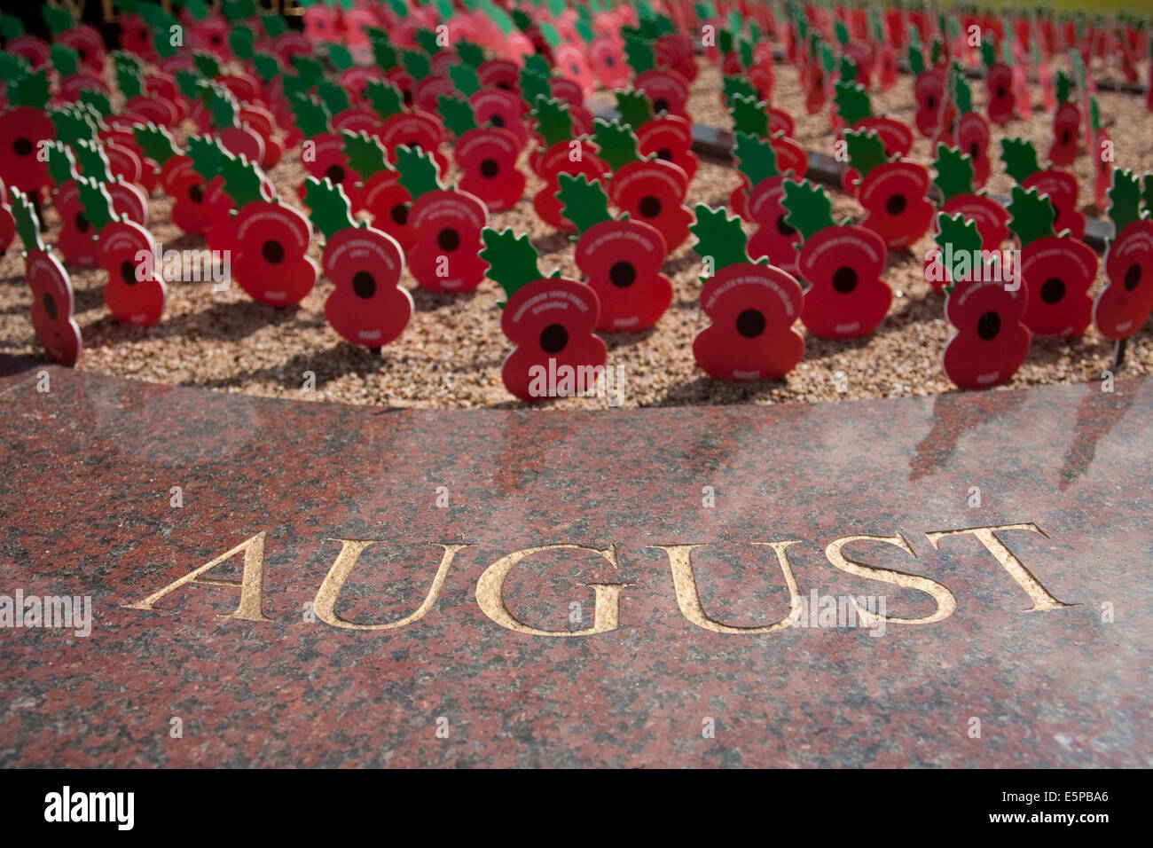 Alrewas, Staffordshire, UK. 4. August 2014. Mohn in der Memorial Garden an der National Memorial Arboretum, Alrewas, Staffordshire nie vergessen. Menschen können eine ewige Mohn in Pflanzen die im Monat, dass ihre Angehörigen eins/fiel. Dieser Garten ist ein Bereich der Erinnerung an Menschen, die in jedem Konflikt Foto aufgenommen am 4. August 2014 auf das hundertjährige Jubiläum des Beginns des 1. Weltkrieges, der große Krieg beteiligt waren. Bildnachweis: Richard Franklin/Alamy Live-Nachrichten Stockfoto