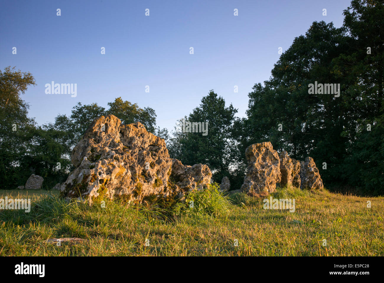 Die Rollright Stones, Oxfordshire, England. Stockfoto