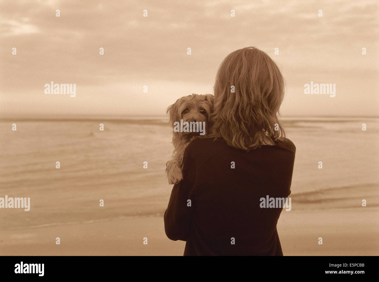 Frau mit Norfolk Terrier Hund am Strand Stockfoto