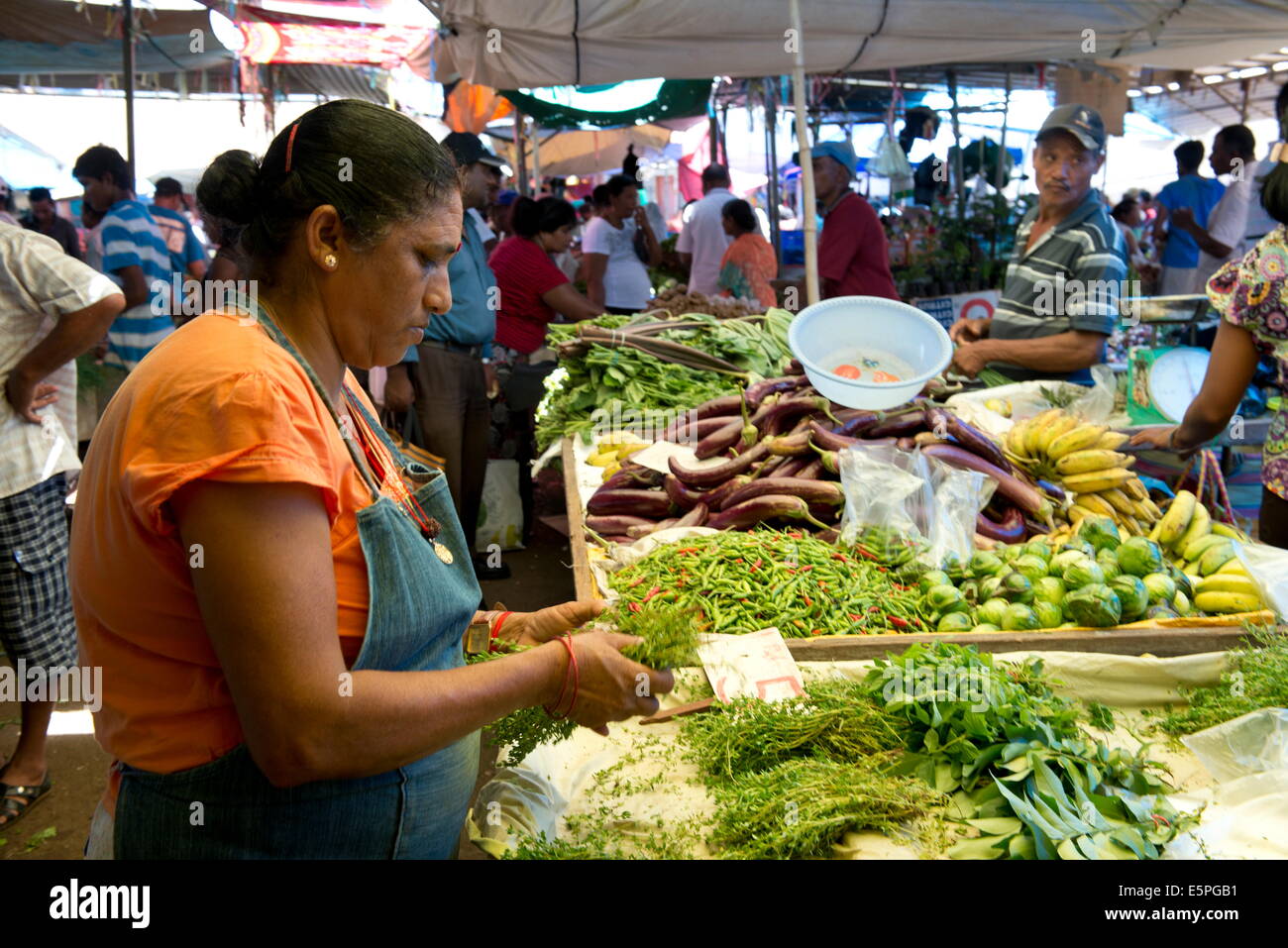 Eine Frau verkauft Gemüse auf dem Markt in Mahebourg in Mauritius, der indische Ozean, Afrika Stockfoto