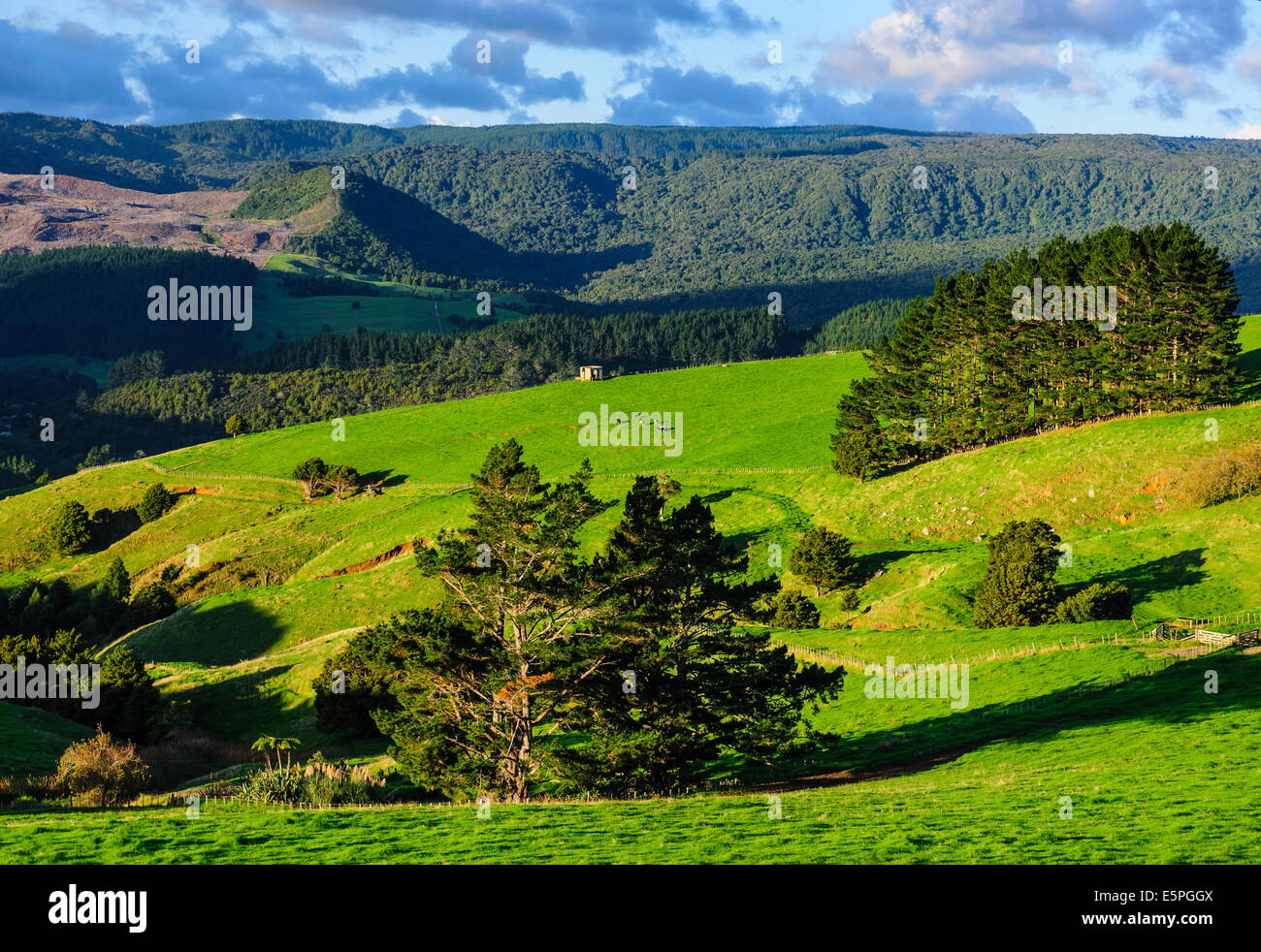 Schöne Landschaft im Hinterland von Northland, North Island, Neuseeland, Pazifik Stockfoto