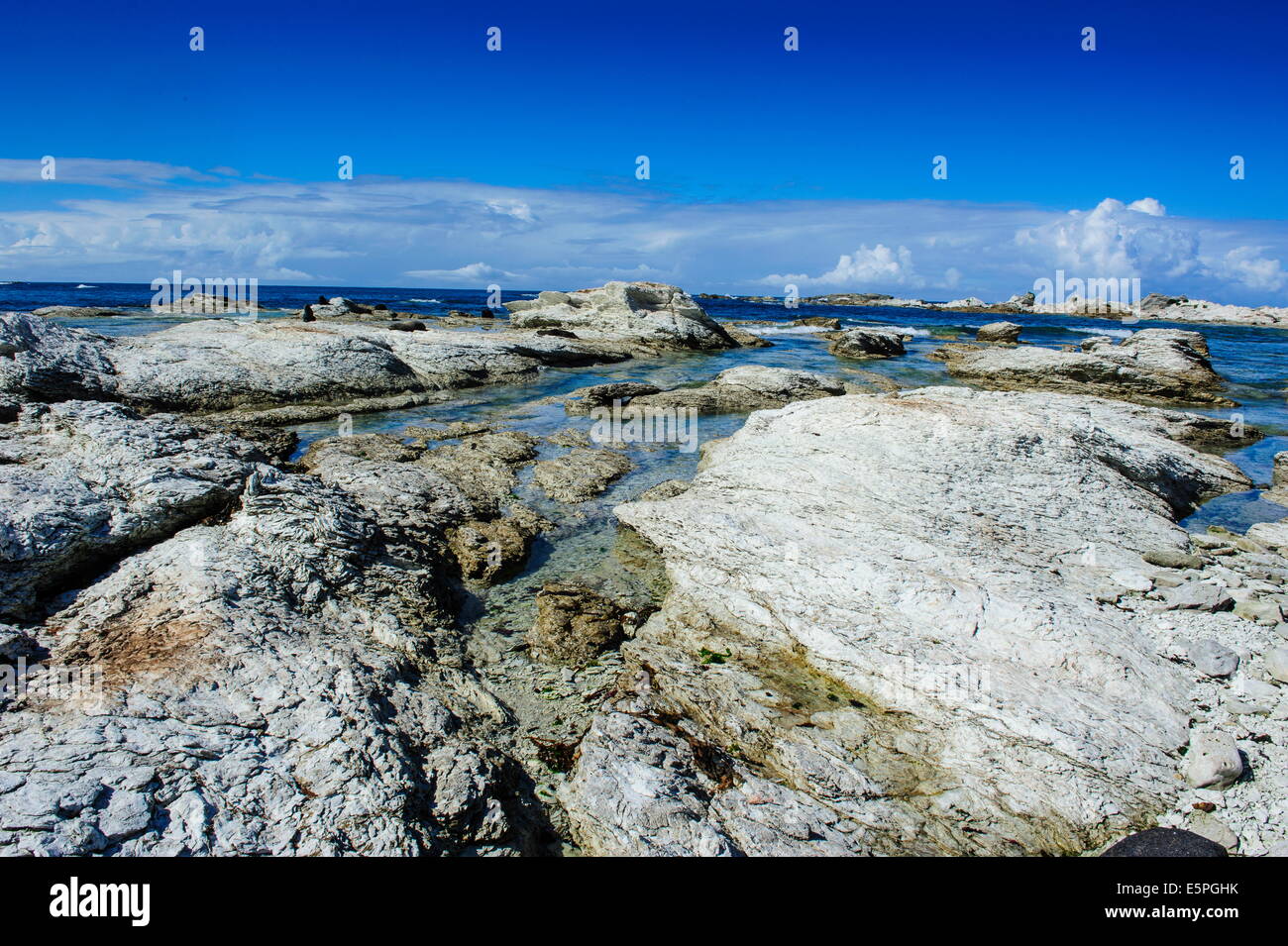 Kalkfelsen in den klaren Gewässern von Kaikoura Halbinsel, Südinsel, Neuseeland, Pazifik Stockfoto
