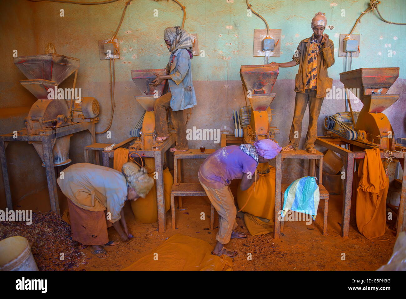 Frauen arbeiten in einer Berbere Paprika Gewürz Fabrik in der Medebar Markt, Asmara, Hauptstadt von Eritrea, Afrika Stockfoto