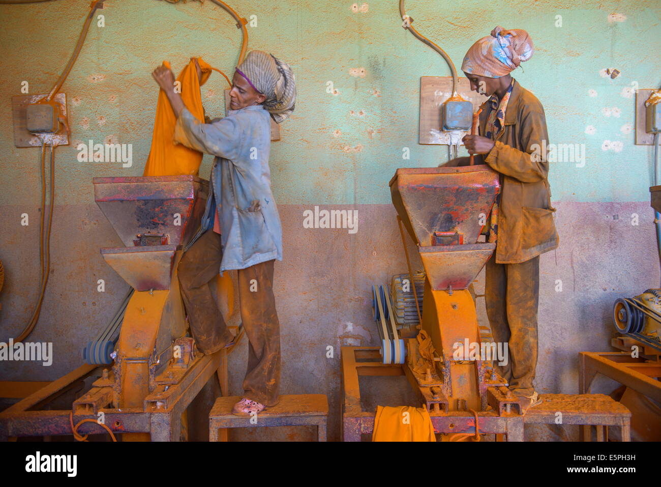 Frauen arbeiten in einer Berbere Paprika Gewürz Fabrik in der Medebar Markt, Asmara, Hauptstadt von Eritrea, Afrika Stockfoto