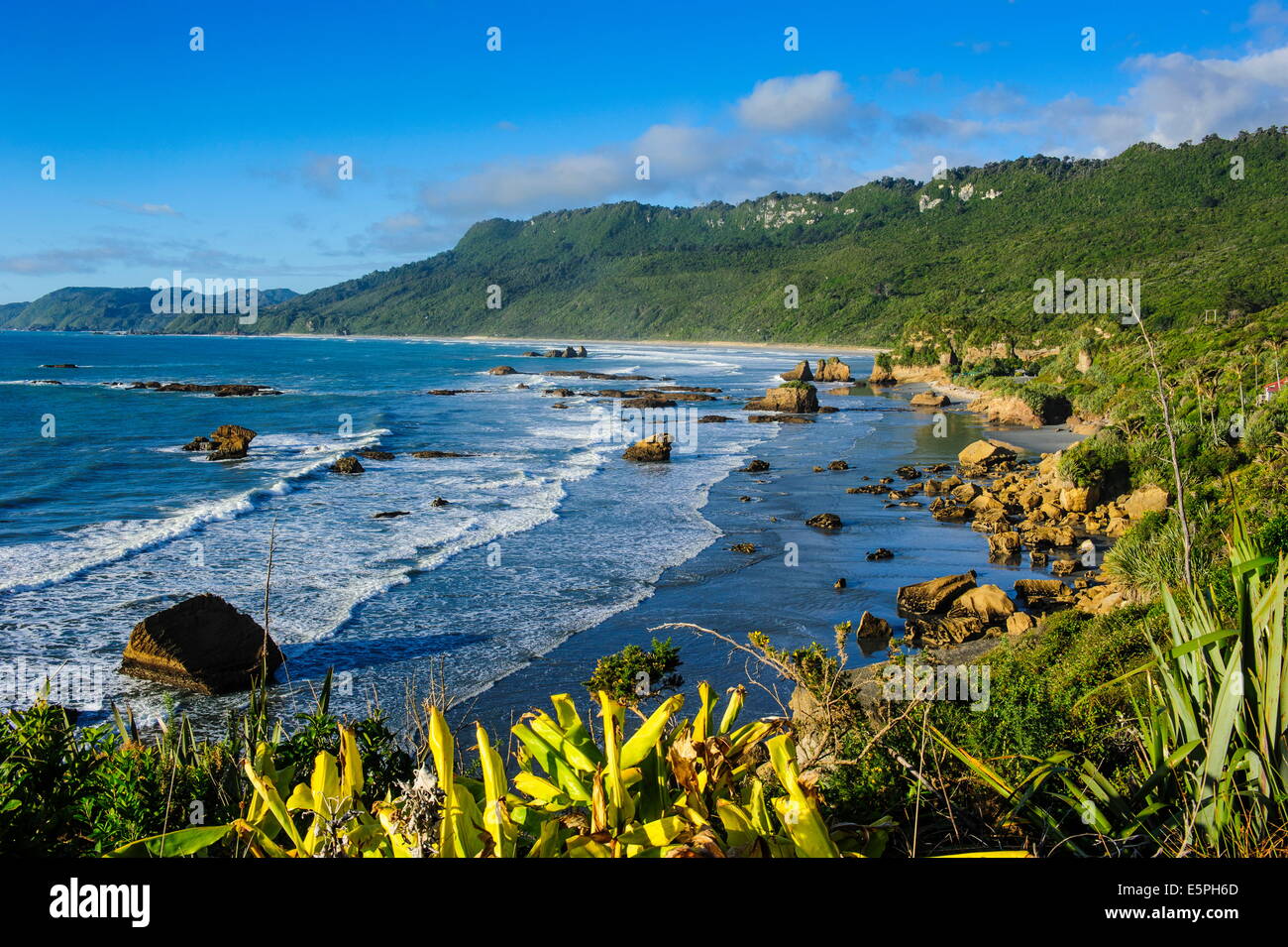 Der unberührte Westen von South Island zwischen Greymouth und Westport, West Coast, Südinsel, Neuseeland, Pazifik Stockfoto