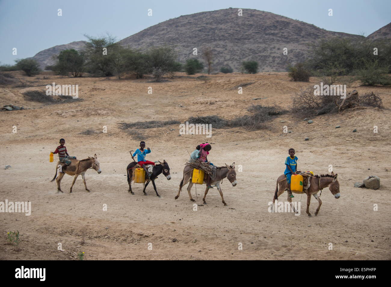 Kleine Kinder reiten auf Eseln zu einem Wasserloch im Flachland von Eritrea, Afrika Stockfoto