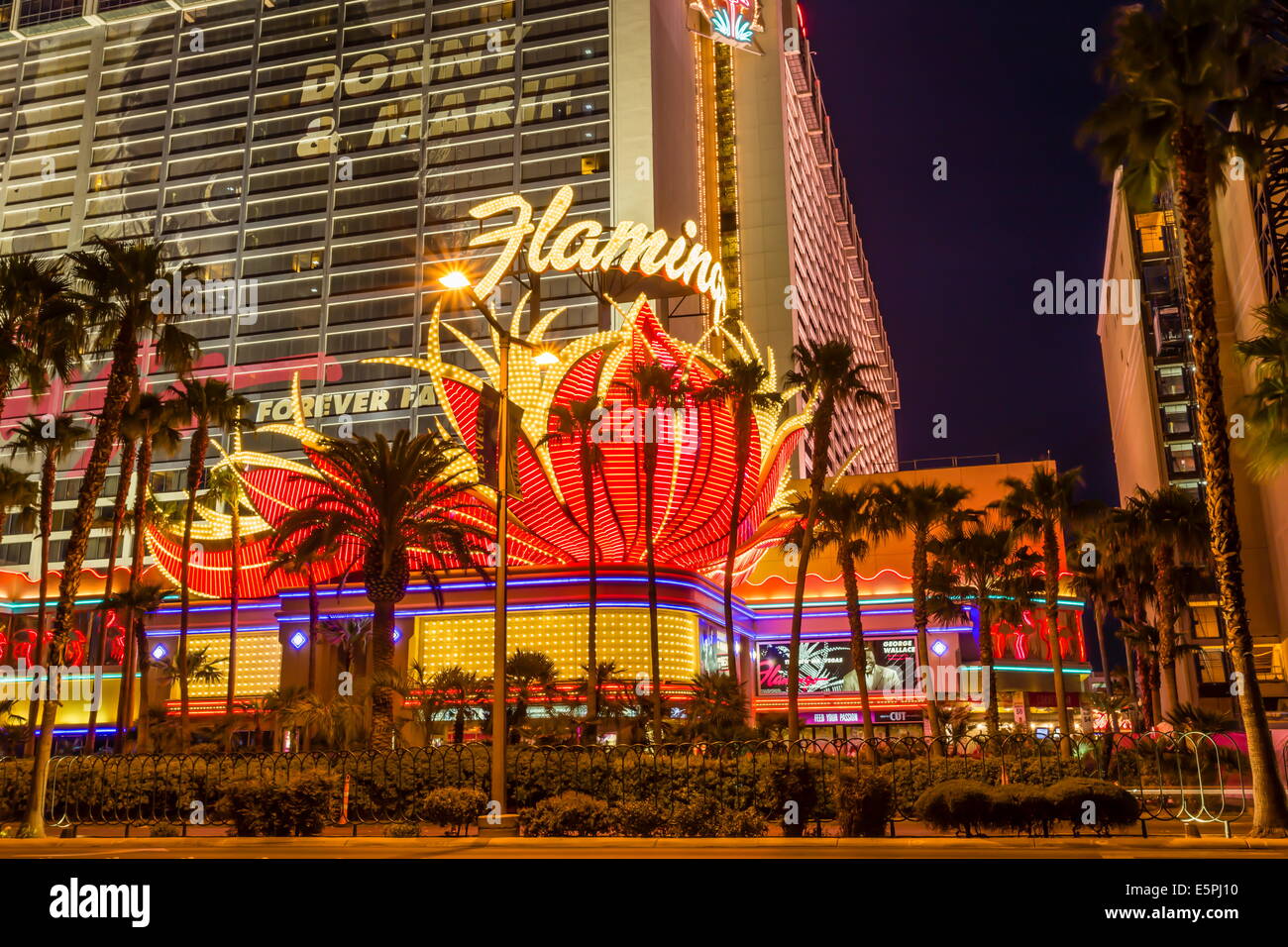 Neonlichter, Las Vegas Strip in der Abenddämmerung mit Flamingo Fassade und Palmen, Las Vegas, Nevada, Vereinigte Staaten von Amerika Stockfoto