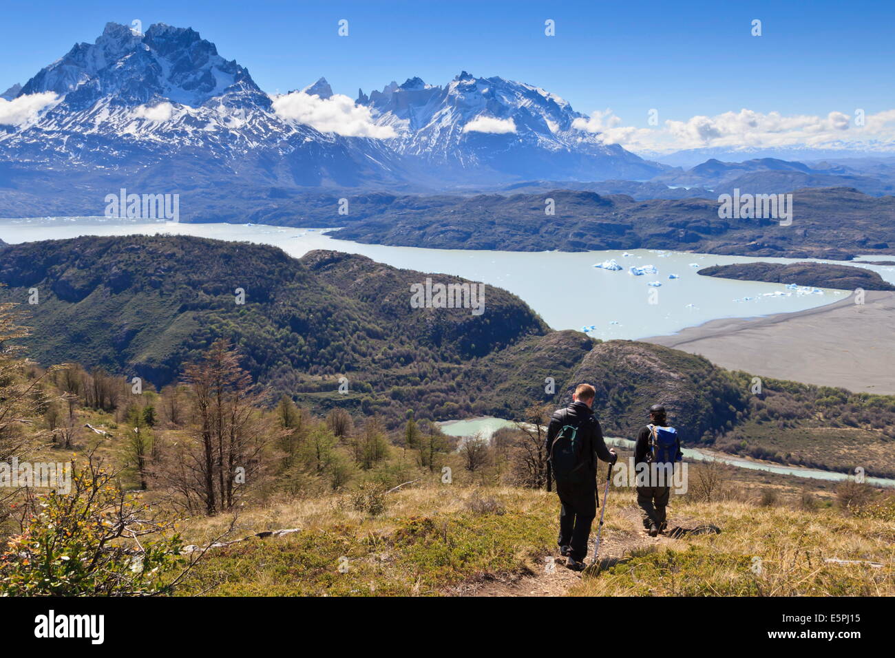Wanderer steigen einem grasbewachsenen Hang mit Blick auf See, Berg und Eisberg; in der Nähe von Ferrier Vista Point, Torres del Paine, Patagonien, Chile Stockfoto
