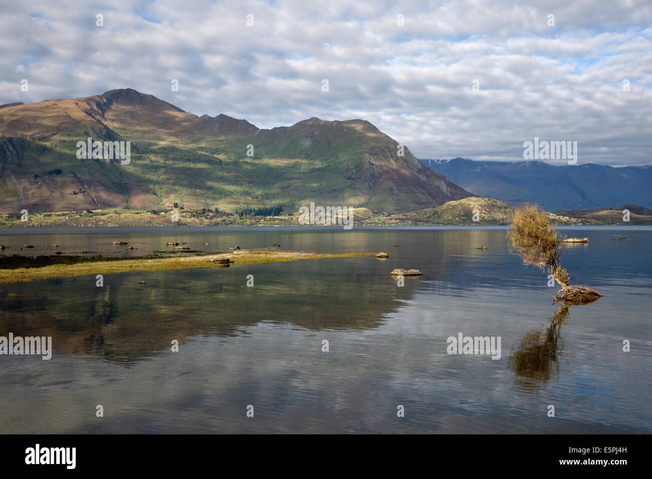 Reflexion im Lake Wanaka, Wanaka, Otago, Südinsel, Neuseeland, Pazifik Stockfoto