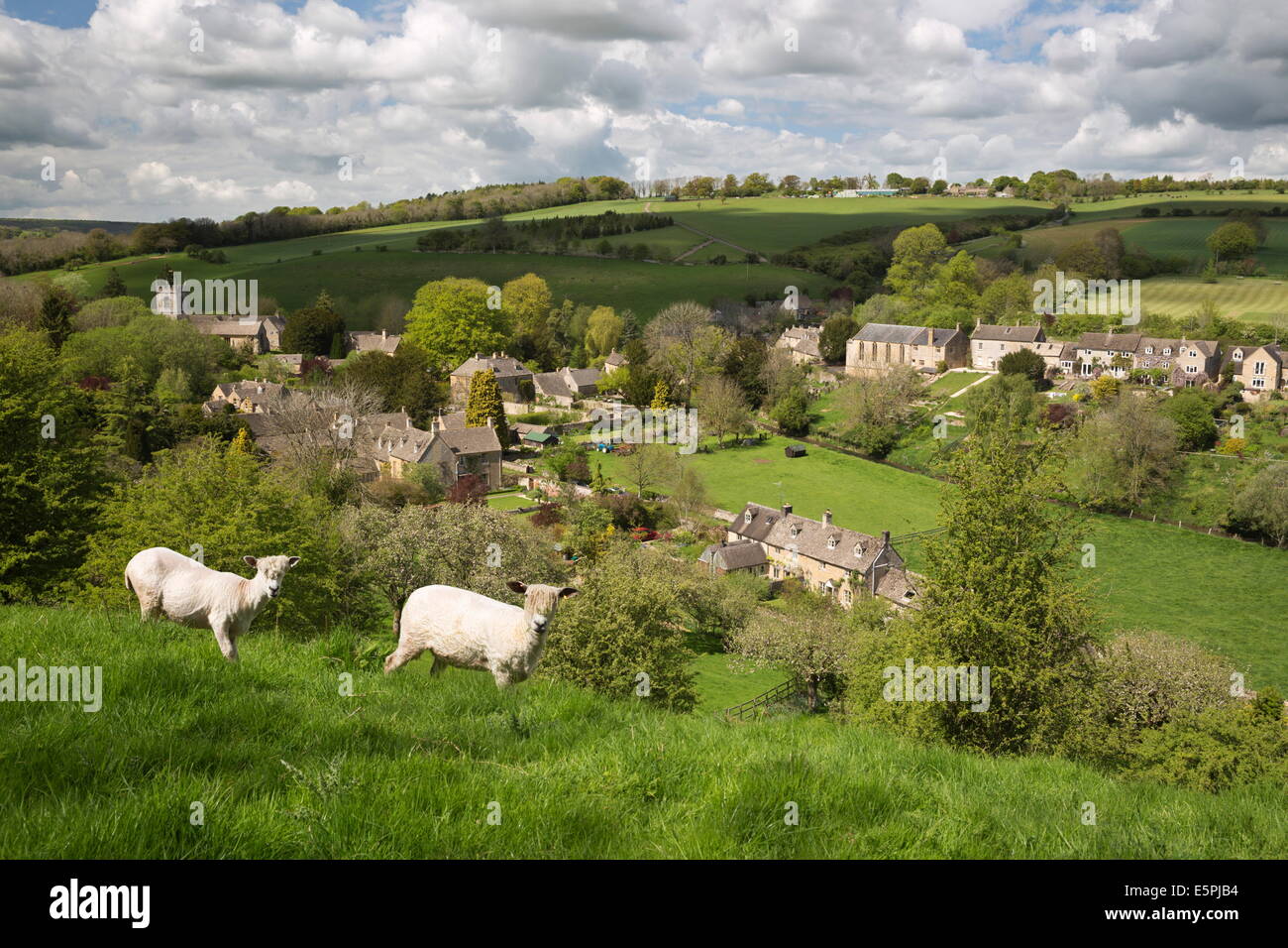 Naunton, Cotswolds, Gloucestershire, England, Vereinigtes Königreich, Europa Stockfoto