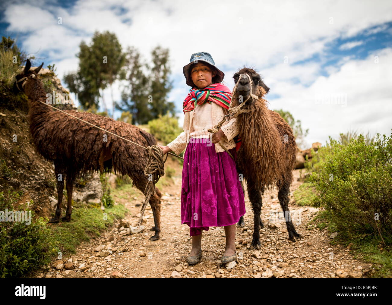 Porträt von Mariel mit ihren zwei Lamas, Isla del Sol, Titicacasee, Bolivien, Südamerika Stockfoto