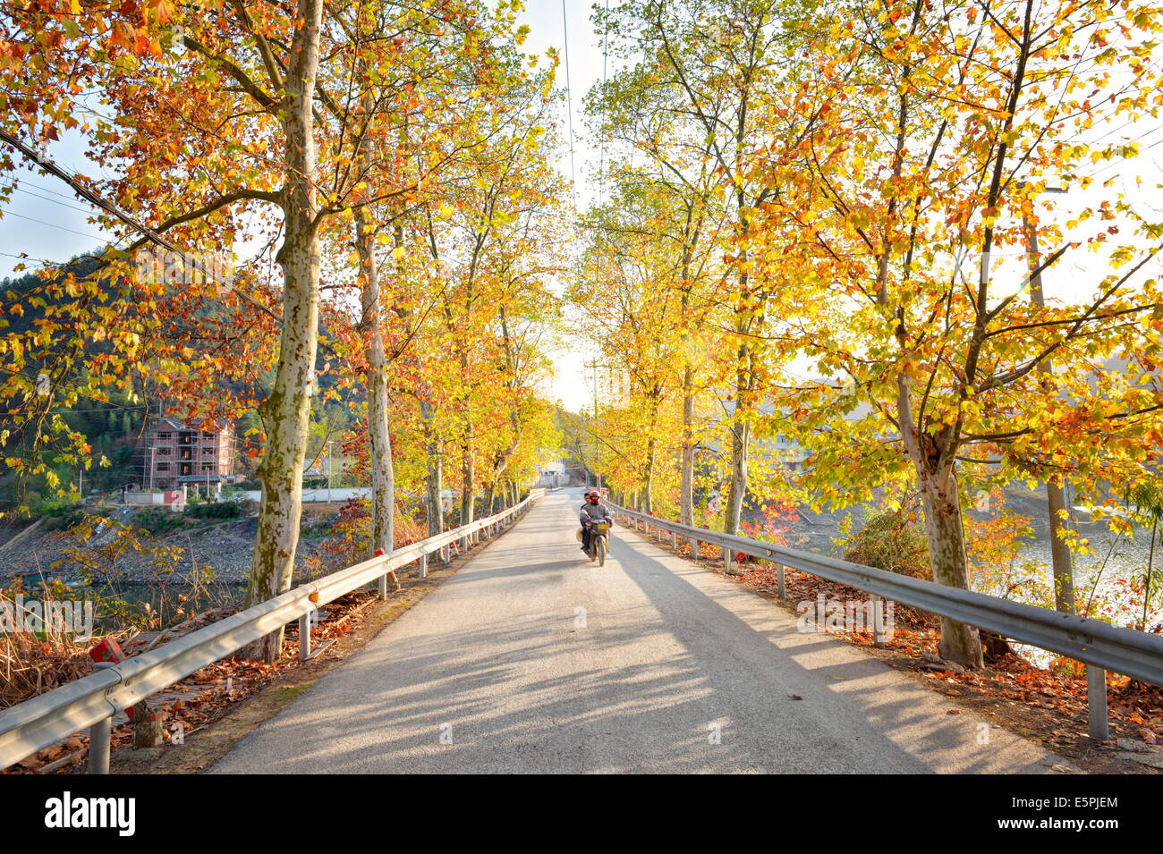 Goldenen Herbstfarben mit Motorrad in einer Gasse von einem Dorf in der Nähe von Qiandao See, Zhejiang Provinz, China. Stockfoto