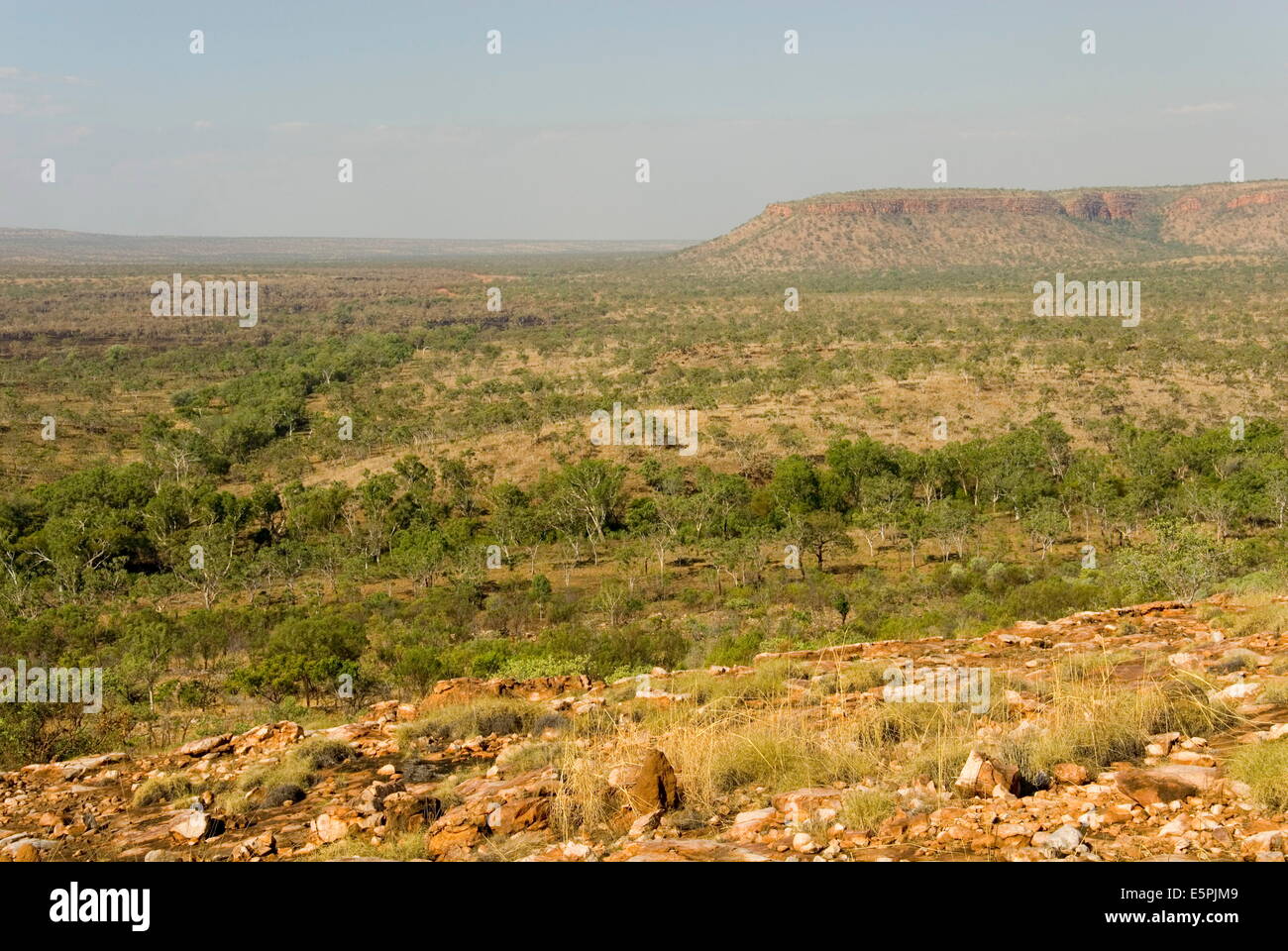 Das Kimberley Plateau, gesehen von den östlichen Teil der Gibb River Road, Western Australia, Australien, Pazifik Stockfoto