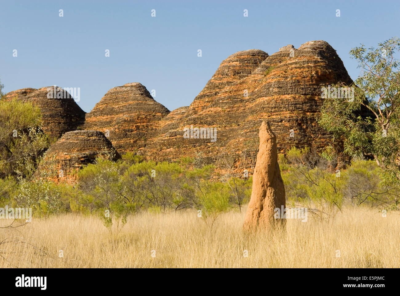 Sandstein Hügel und Termitenhügel in der Kuppeln, Purnululu National Park (Bungle Bungle), der UNESCO, Australien Stockfoto