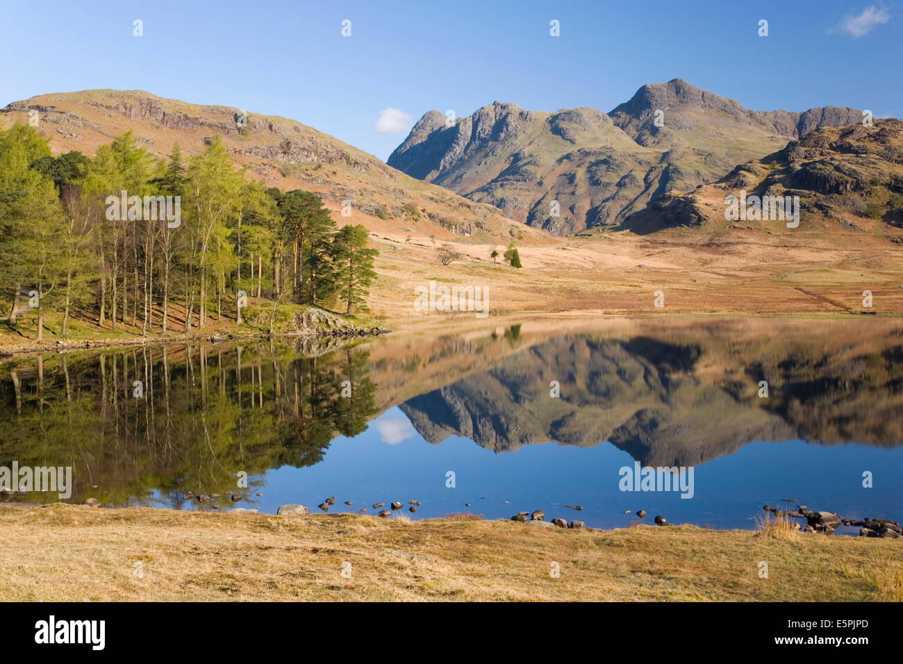 Langdale Pikes spiegelt sich in Blea Tarn, oben wenig Langdale, Nationalpark Lake District, Cumbria, England, Vereinigtes Königreich Stockfoto