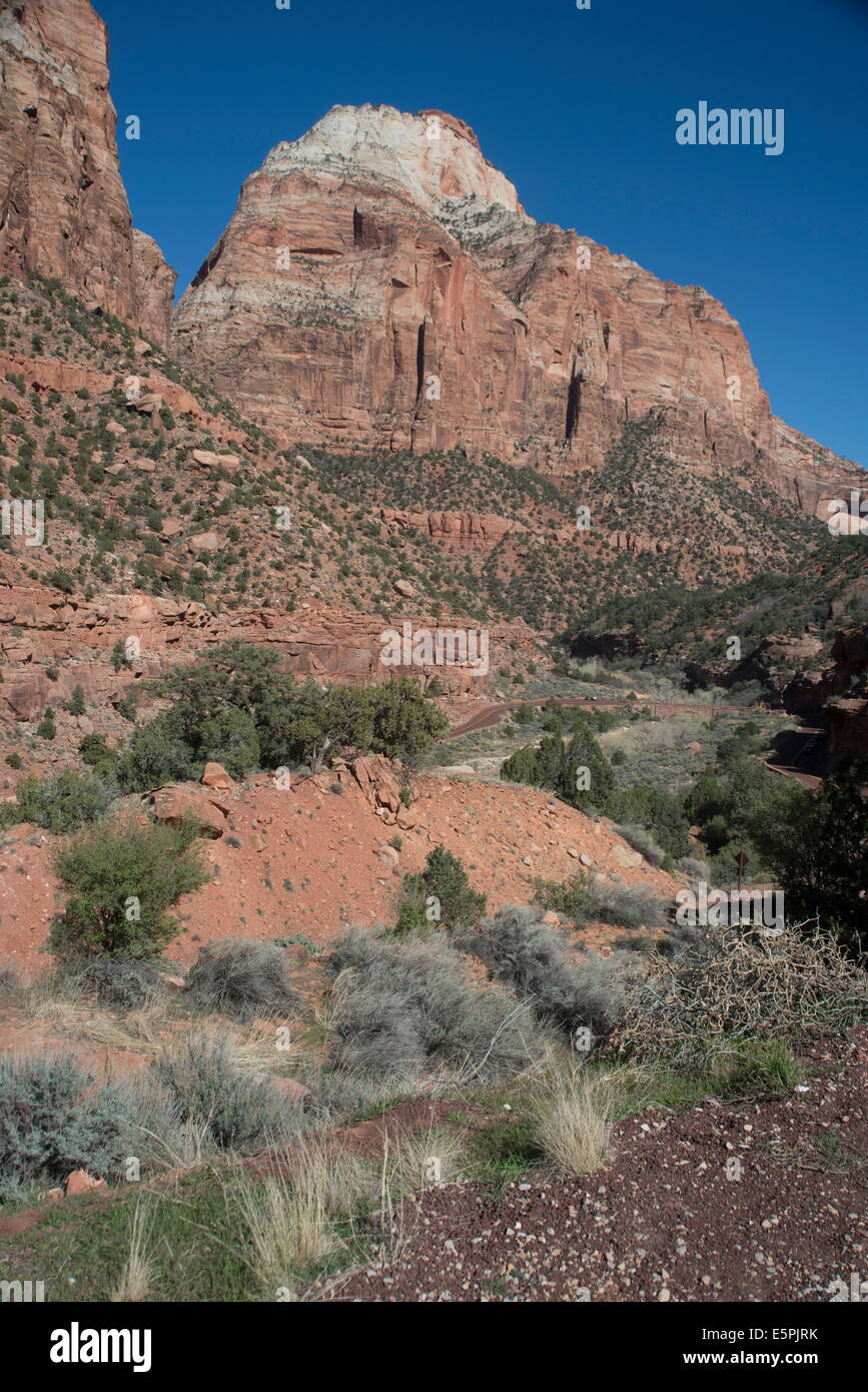 Zion-Canyon-Nationalpark, Utah, Vereinigte Staaten von Amerika, Nordamerika Stockfoto