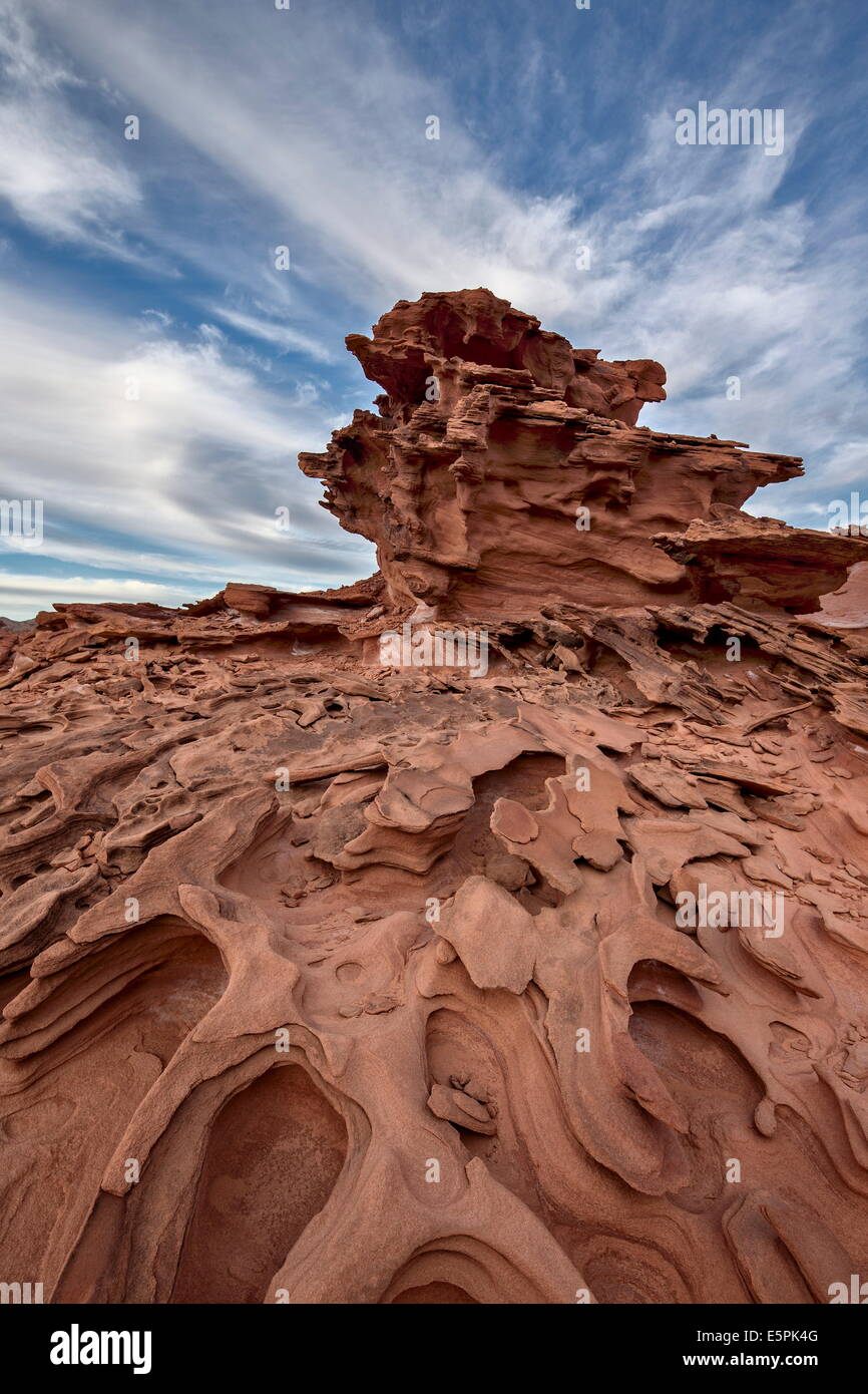 Aus rotem Sandstein mit dreidimensionalen Erosion Formen, Gold Butte, Nevada, Vereinigte Staaten von Amerika, Nordamerika Stockfoto