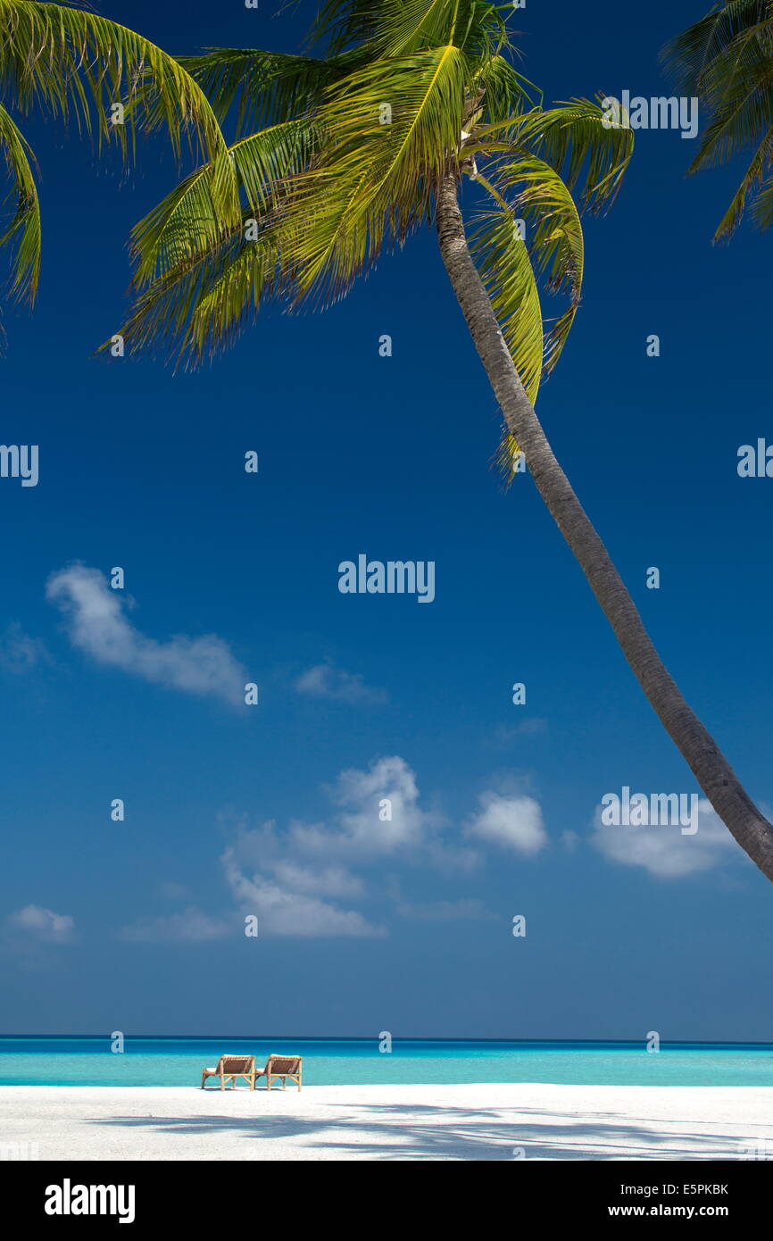 Sonnenliegen am tropischen Strand, Malediven, Indischer Ozean, Asien Stockfoto