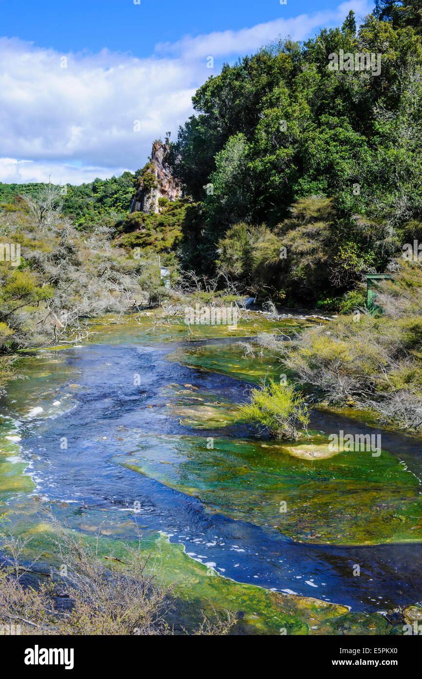 Geothermische Fluss im Waimangu Volcanic Valley, North Island, Neuseeland, Pazifik Stockfoto