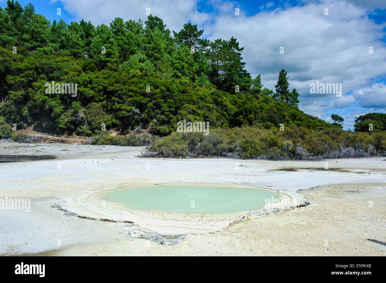 Geoactive Thermalbecken, Wai-O-Tapu Thermal Wonderland, Waiotapu, North Island, Neuseeland, Pazifik Stockfoto