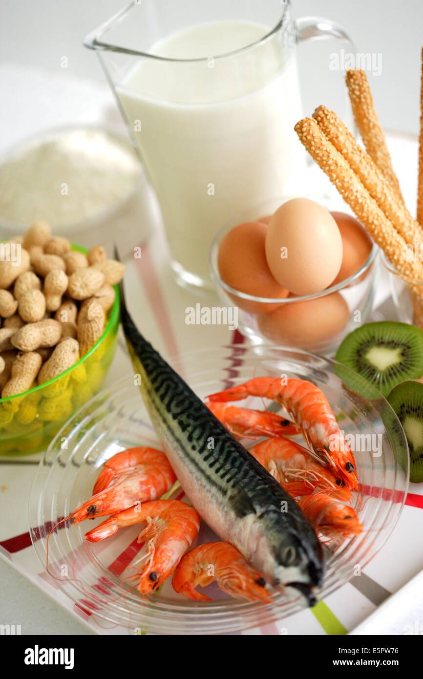 Stillleben von Allergenen Lebensmitteln: Garnelen, Macquerel, Ei, Milch, Erdnüsse, Kiwi. Stockfoto