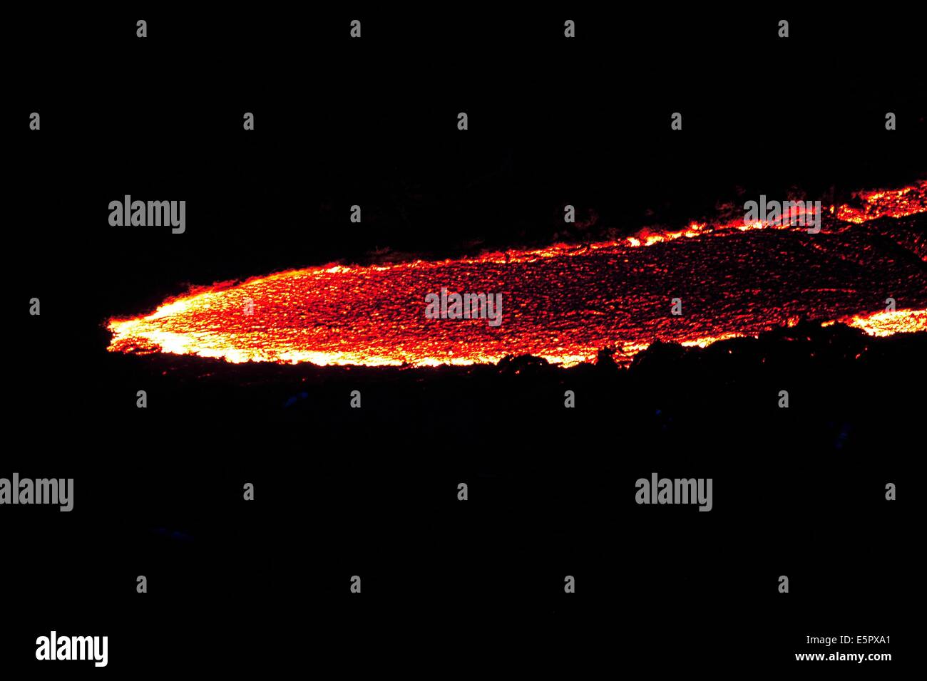 Ausbruch des Vulkans Pacaya, 2 552 m hoch, in der Nähe von Antigua, Guatemala. Stockfoto Ausbruch des Vulkans Pacaya, 2 552 m hoch, in der Nähe von Antigua, Guatemala. Stockfoto