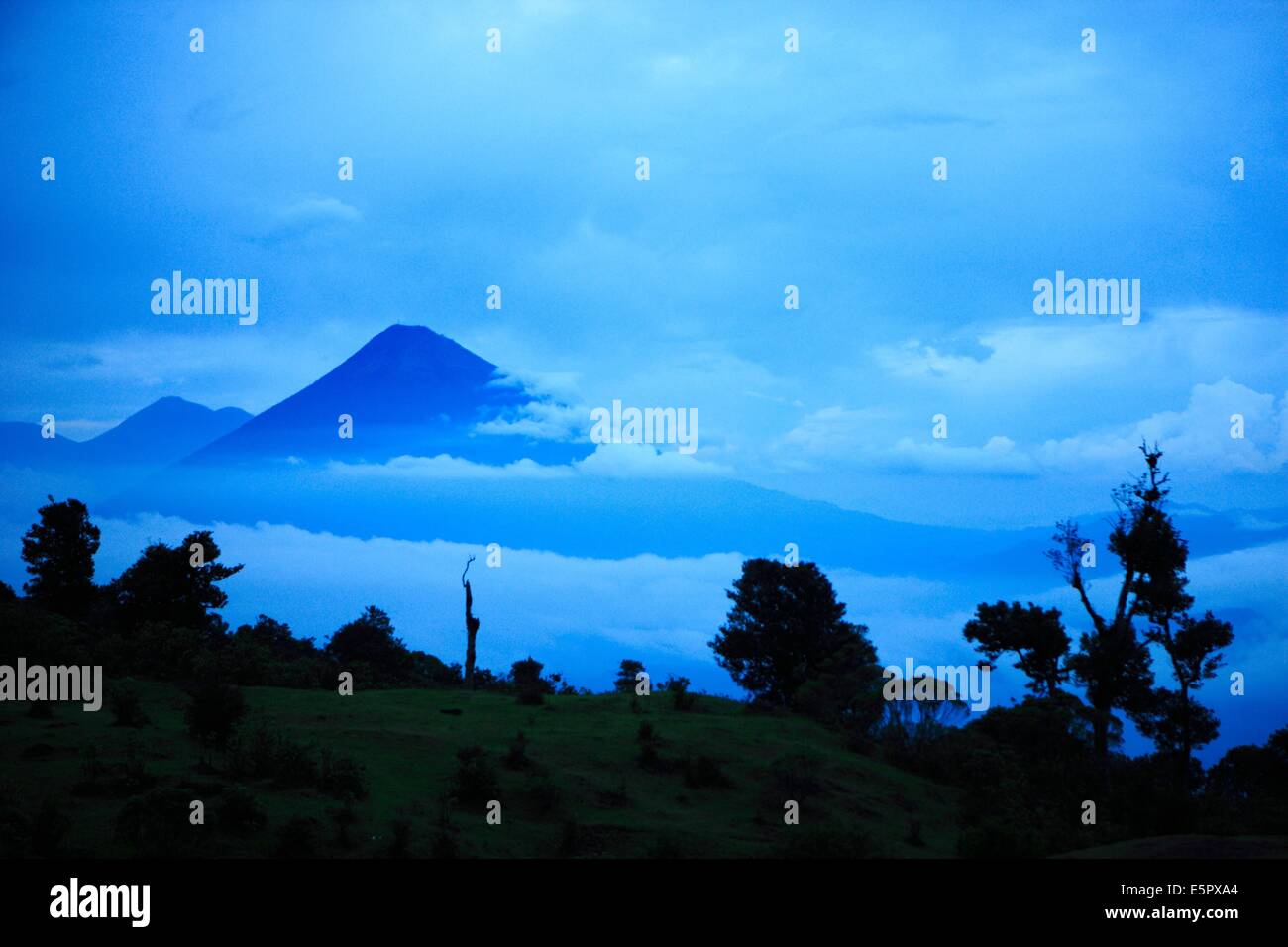 Vulkan Pacaya, 2 552 m hoch, in der Nähe von Antigua, Guatemala. Stockfoto Vulkan Pacaya, 2 552 m hoch, in der Nähe von Antigua, Guatemala. Stockfoto