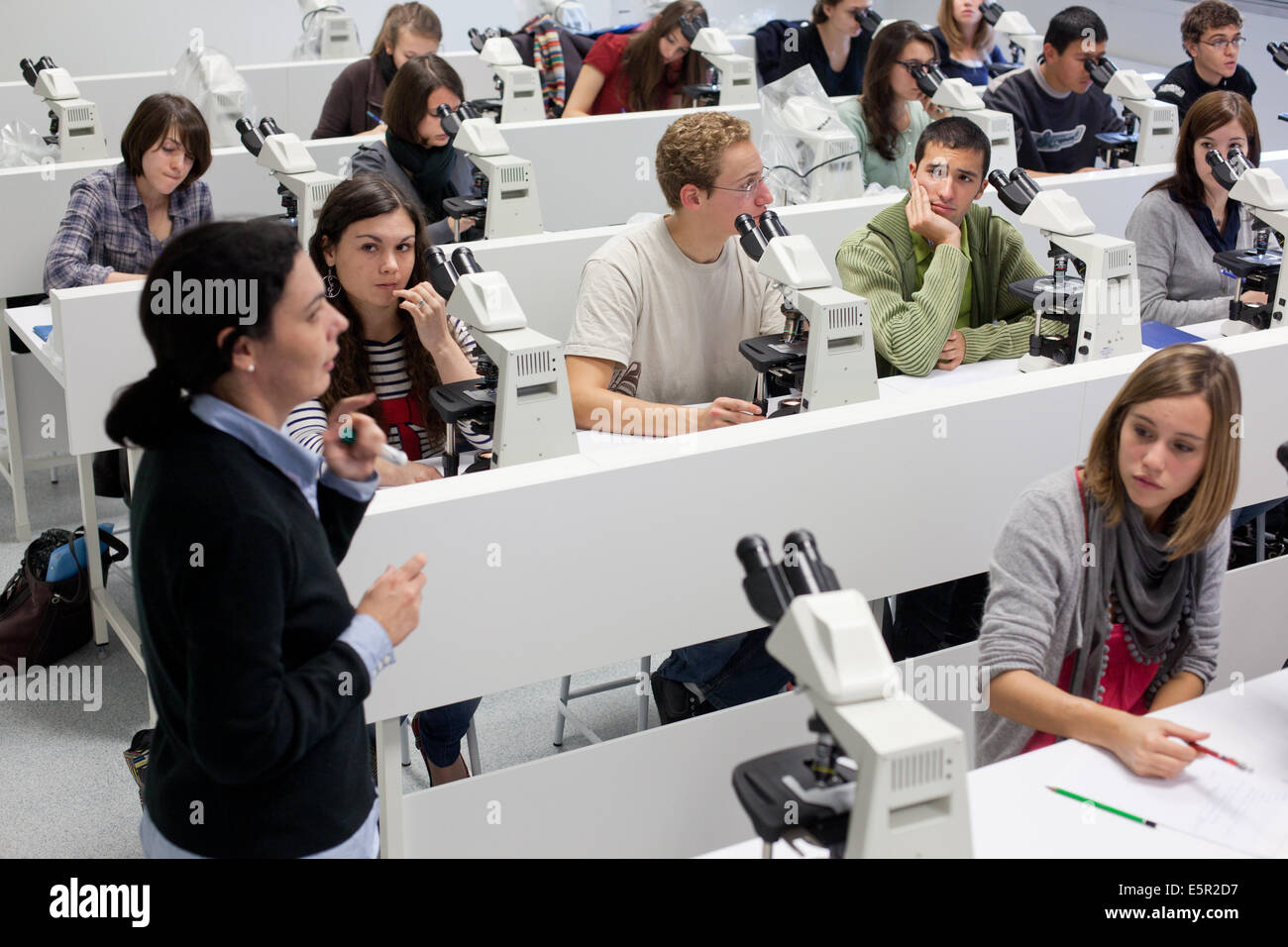 Studierende der Medizin; Biologische und histologischen Tutorials; Fakultät für Medizin von Limoges, Frankreich. Stockfoto