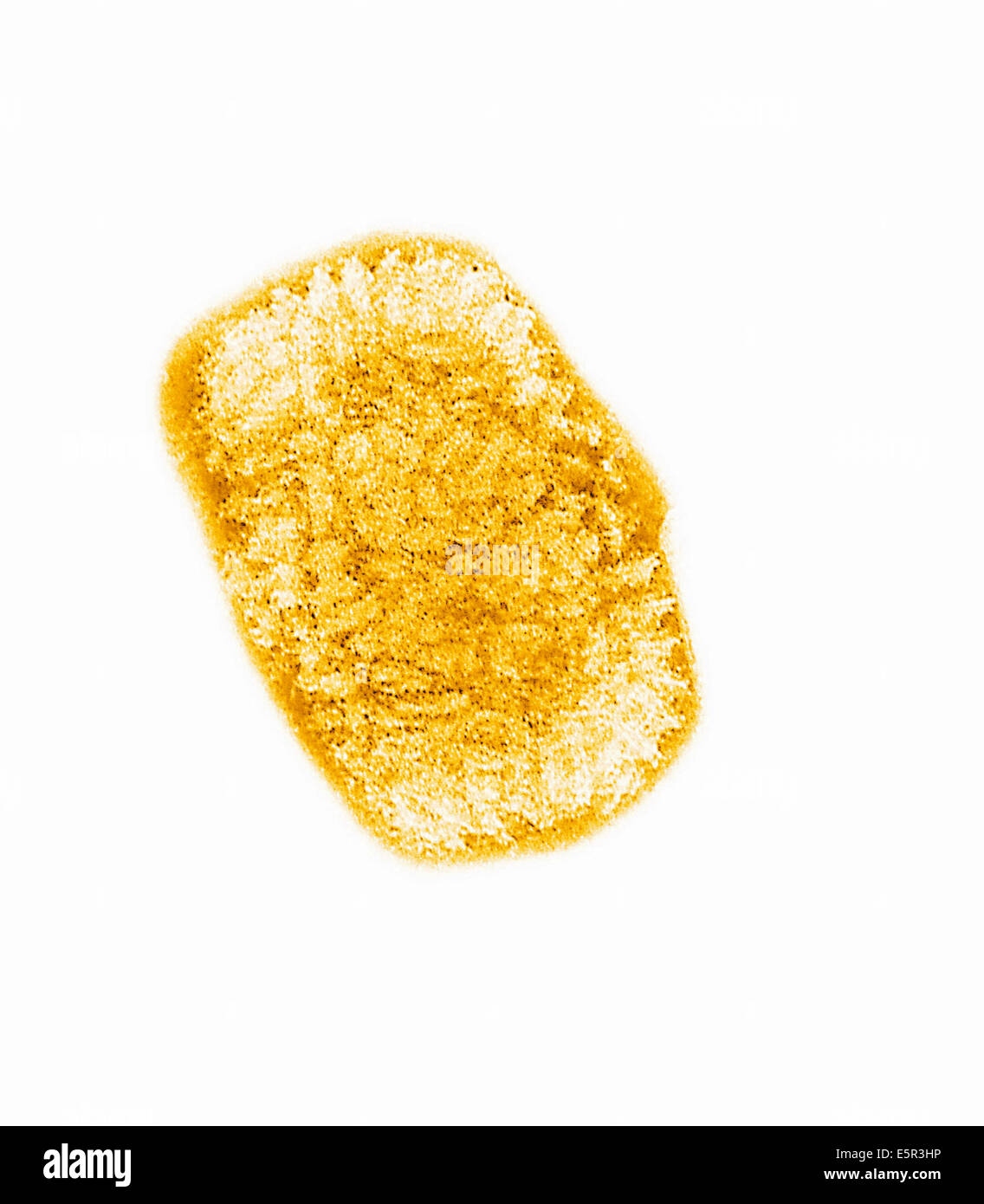 Vaccinia Virus Stockfotos und bilder Kaufen Alamy