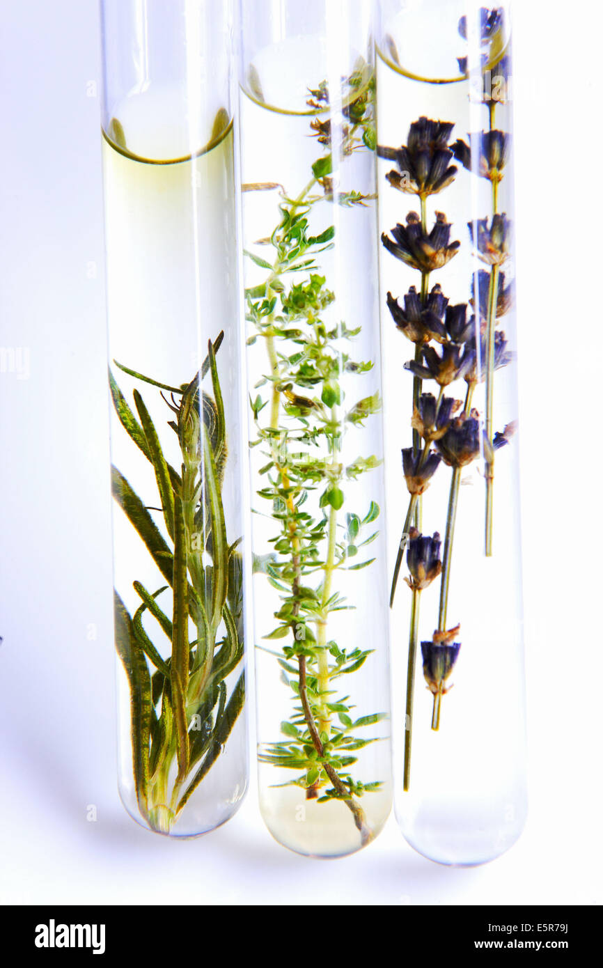 Ätherische Öle. Stockfoto