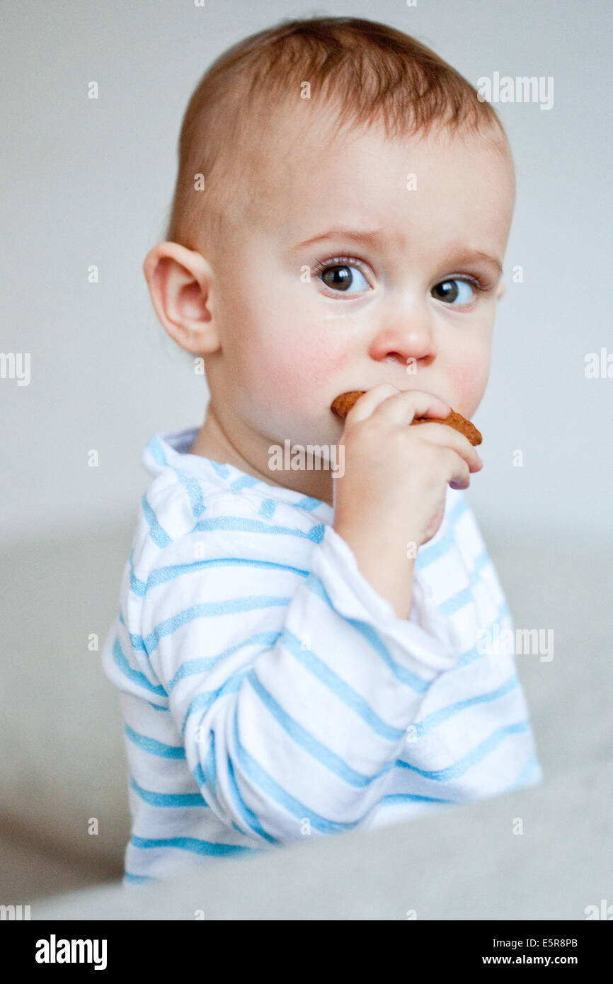 14 Monate Altes Baby Essen Cookie Stockfotografie Alamy