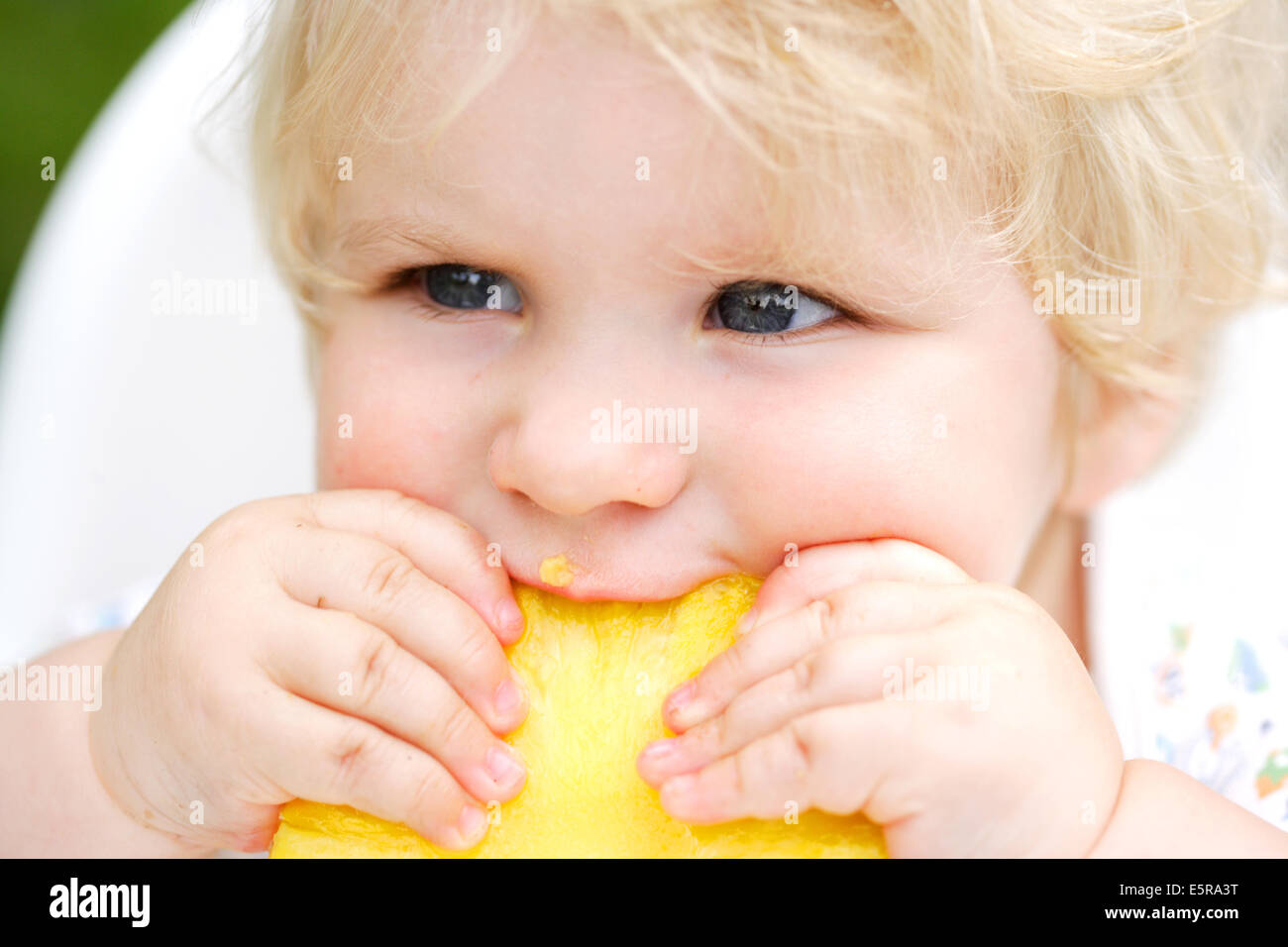 10 Monate altes Baby Essen Ananas. Stockfoto