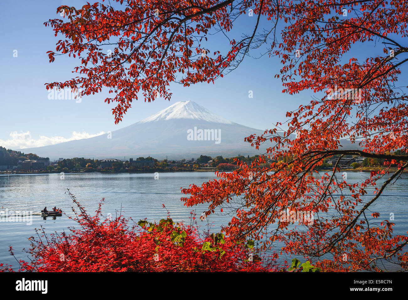 Mt. Fuji, Japan am Kawaguchi-See während der Herbstsaison. Stockfoto