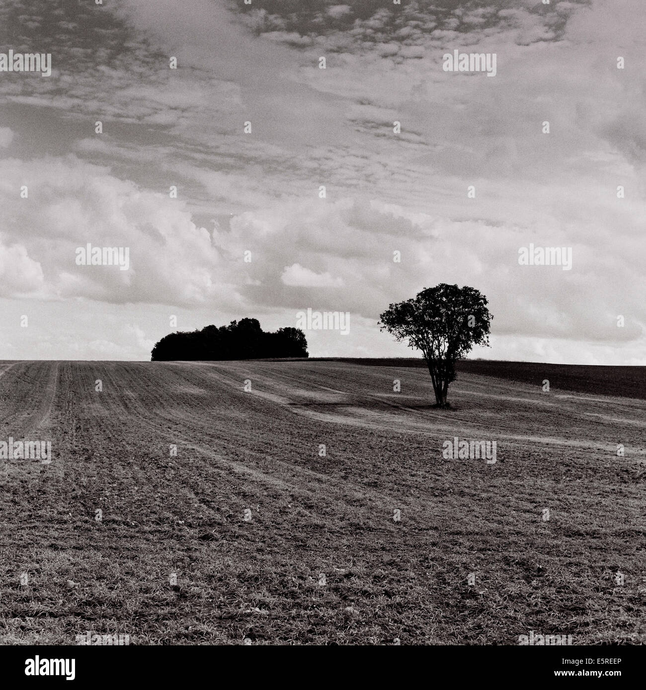 Landschaft, Frankreich. Stockfoto