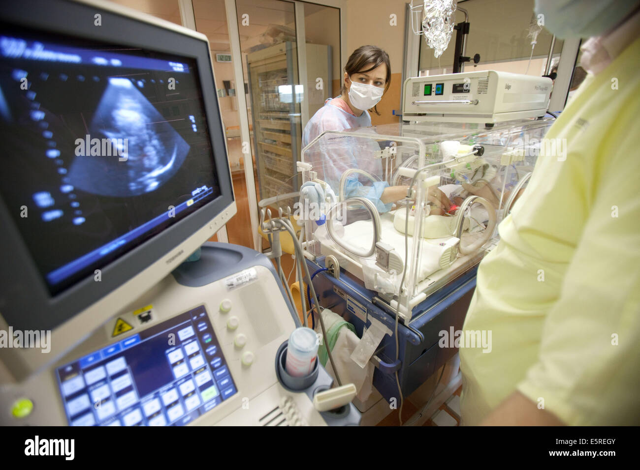 Vorzeitigen Neugeborenen in der Ultraschalluntersuchung des Gehirns, Neonatalogy Abteilung, Robert Debré Krankenhaus, Paris, Frankreich. Stockfoto