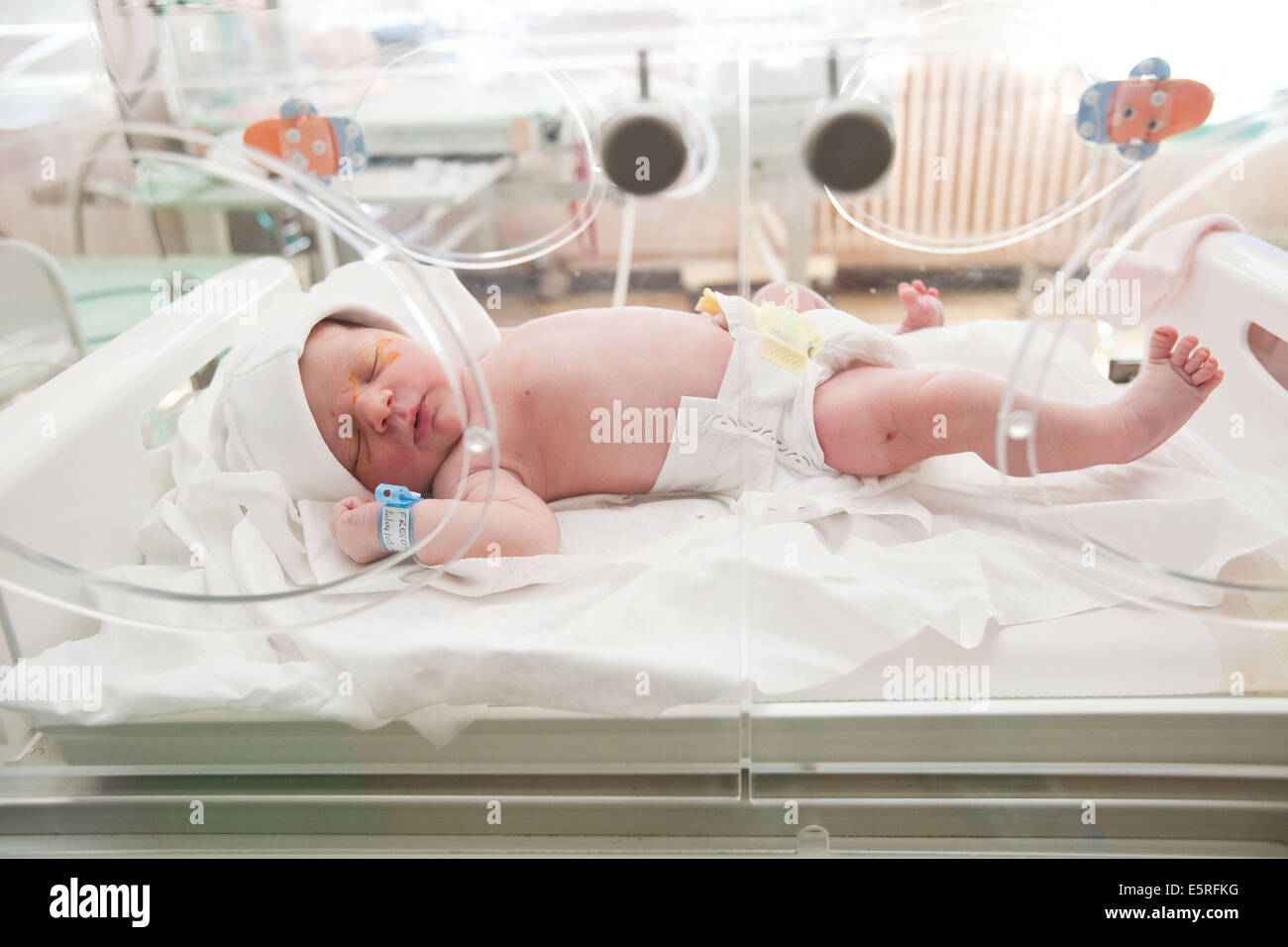 Neugeborenes in einem Inkubator, Mutterschaft Abteilung, Cochin Krankenhaus, Paris, Frankreich. Stockfoto