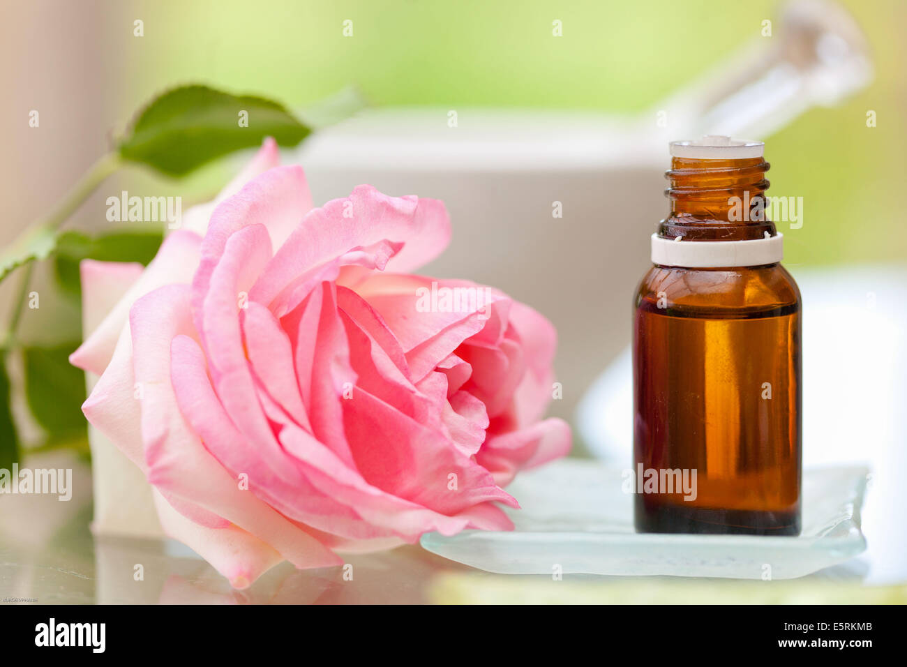 Rose ätherisches Öl. Stockfoto