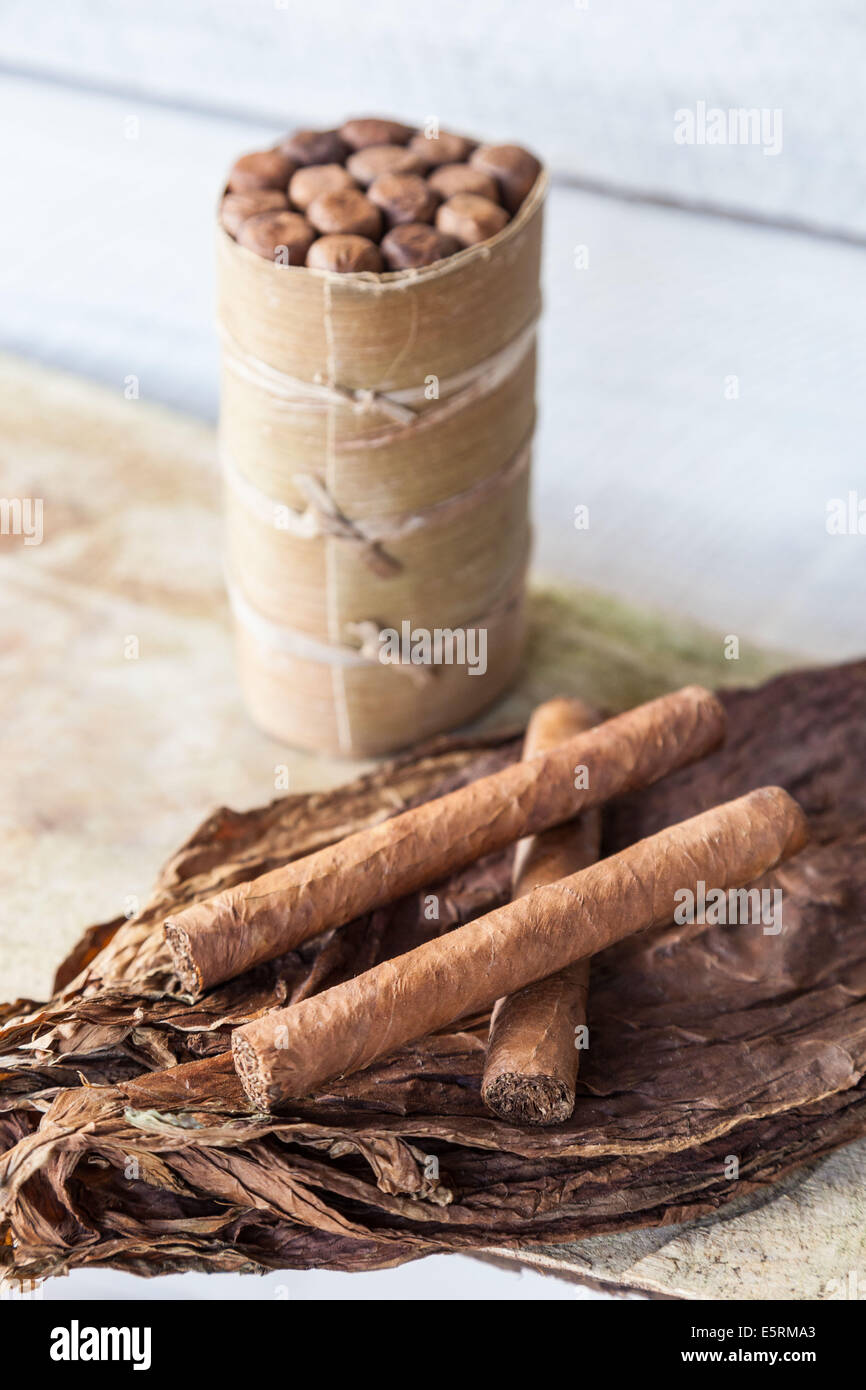 Handgemachte Zigarren. Vinales, Kuba. Stockfoto