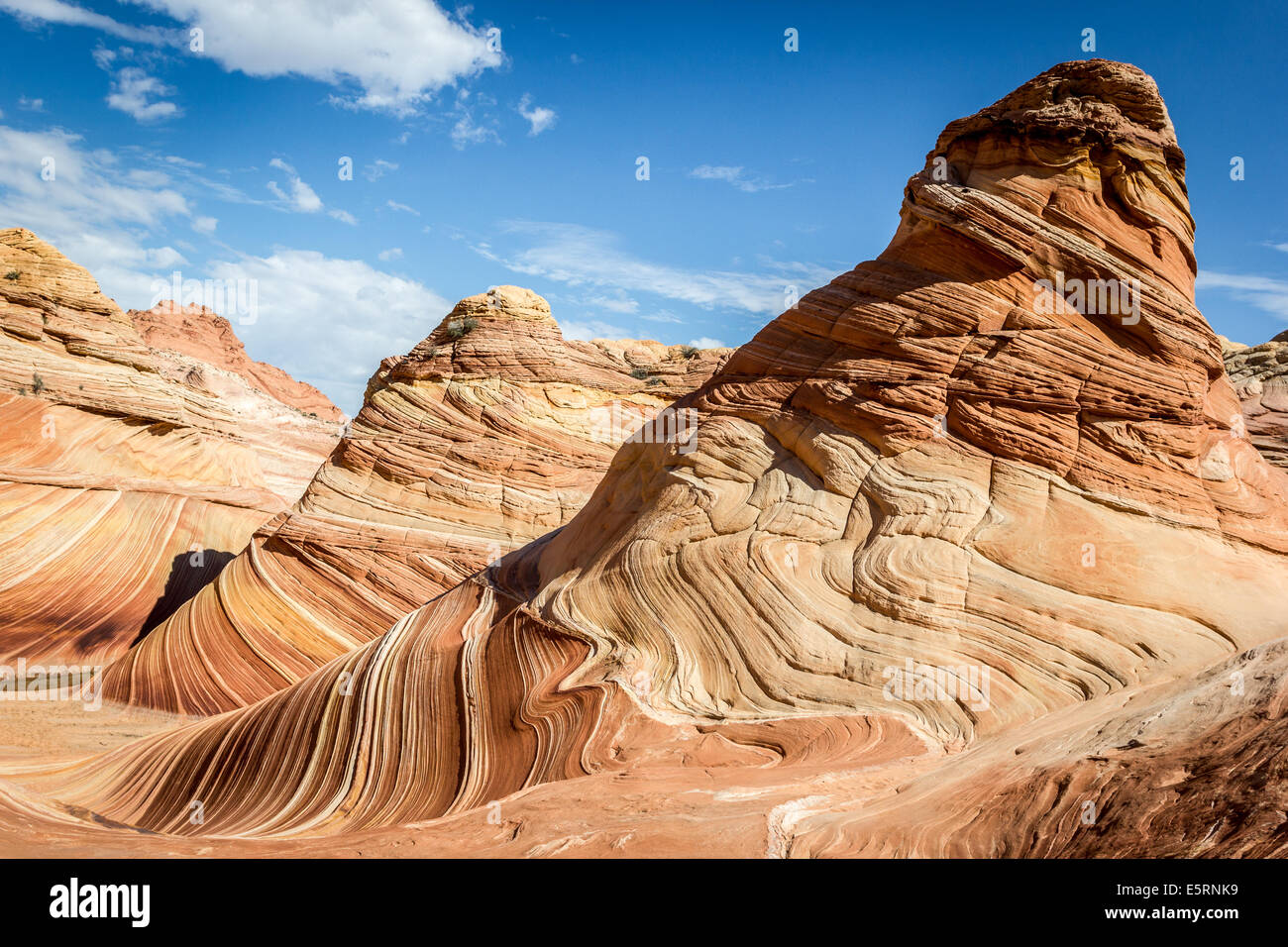 Die Welle, Arizona. Erstaunliche fließende Felsformation in der Steinwüste, Paria Canyon-Vermillion Cliffs Wilderness Stockfoto